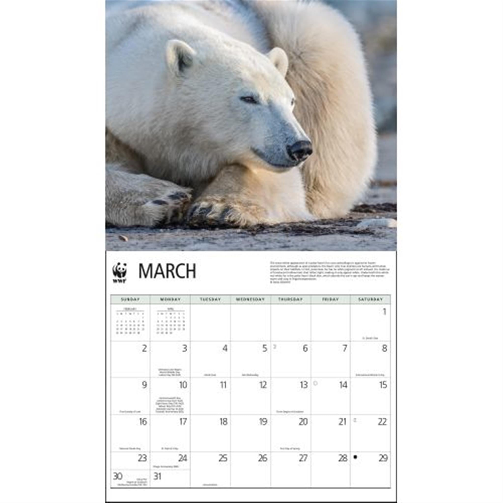 Polar Bears World Wildlife Fund Wall 2025 Calendar