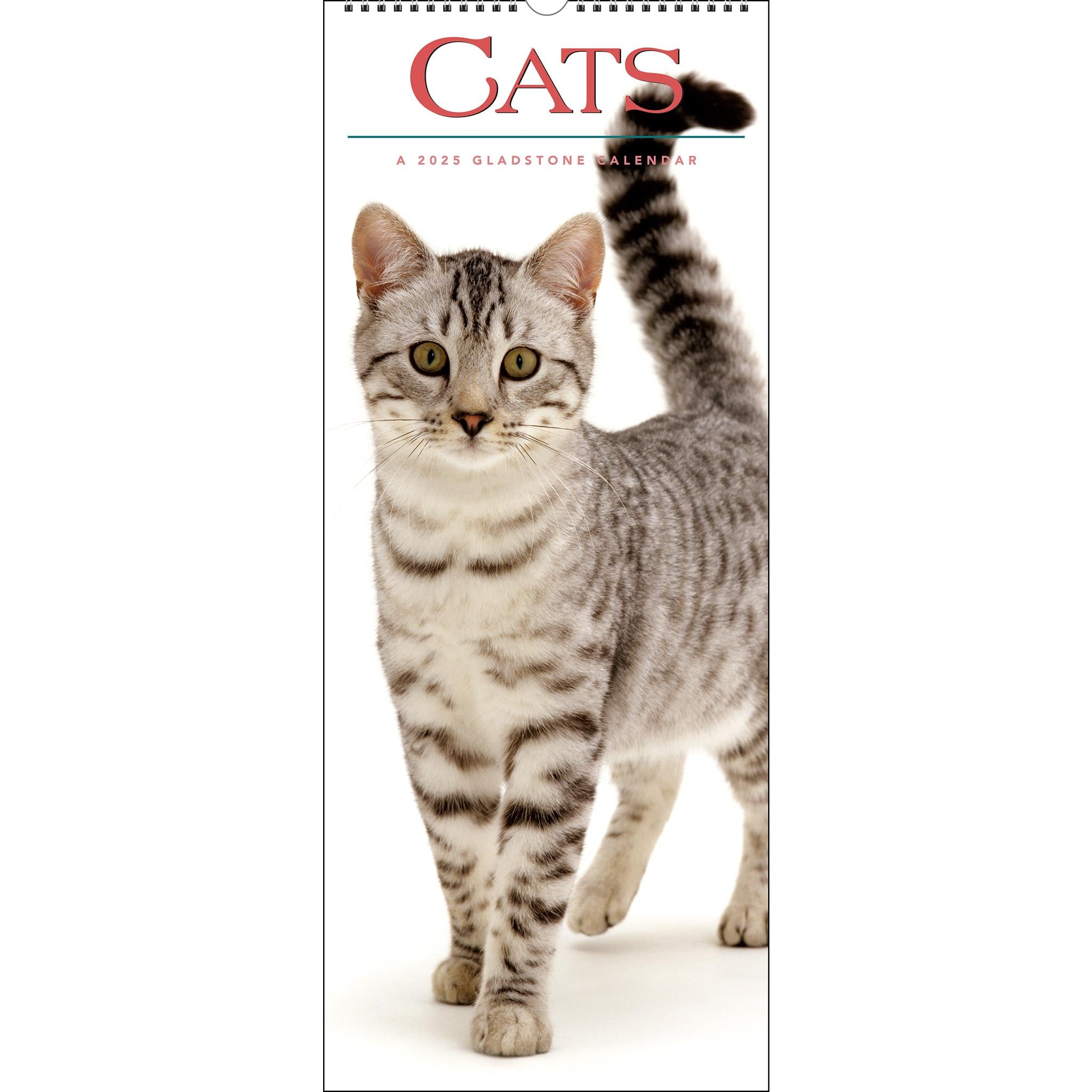Cats Poster 2025 Calendar