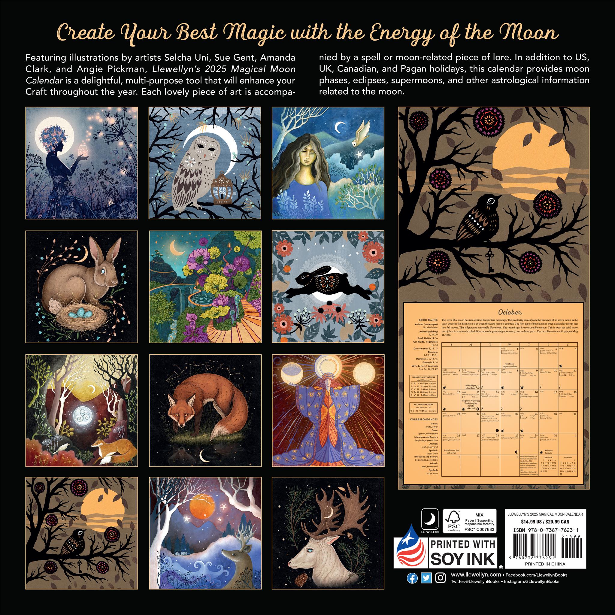 Magical Moon Wall 2025 Calendar - Online Exclusive