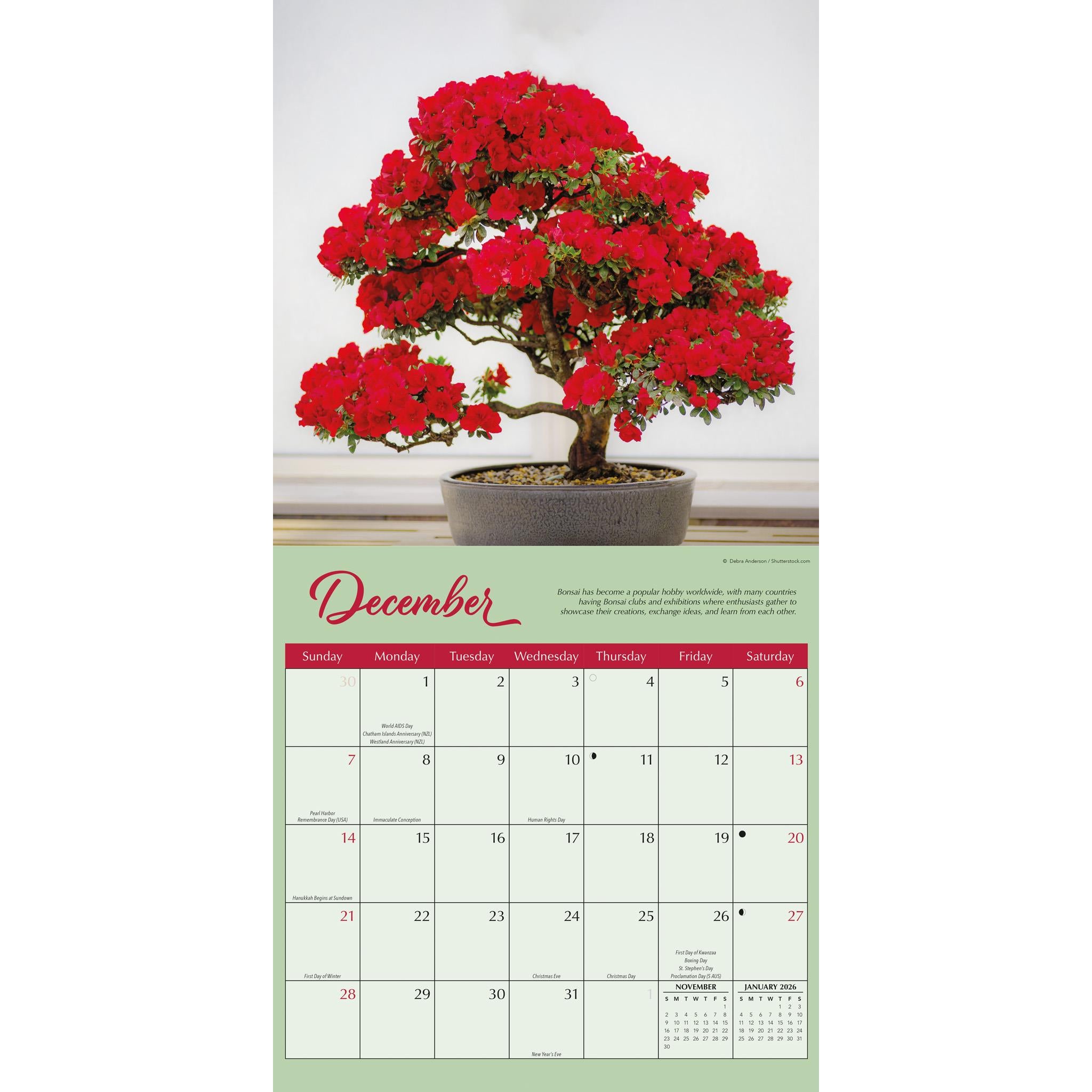 Bonsai Wall 2025 Calendar