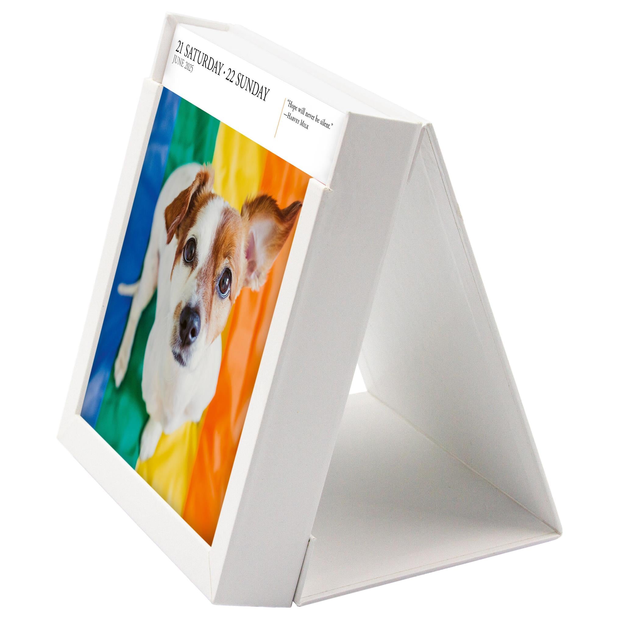 Dog Gallery Box 2025 Calendar