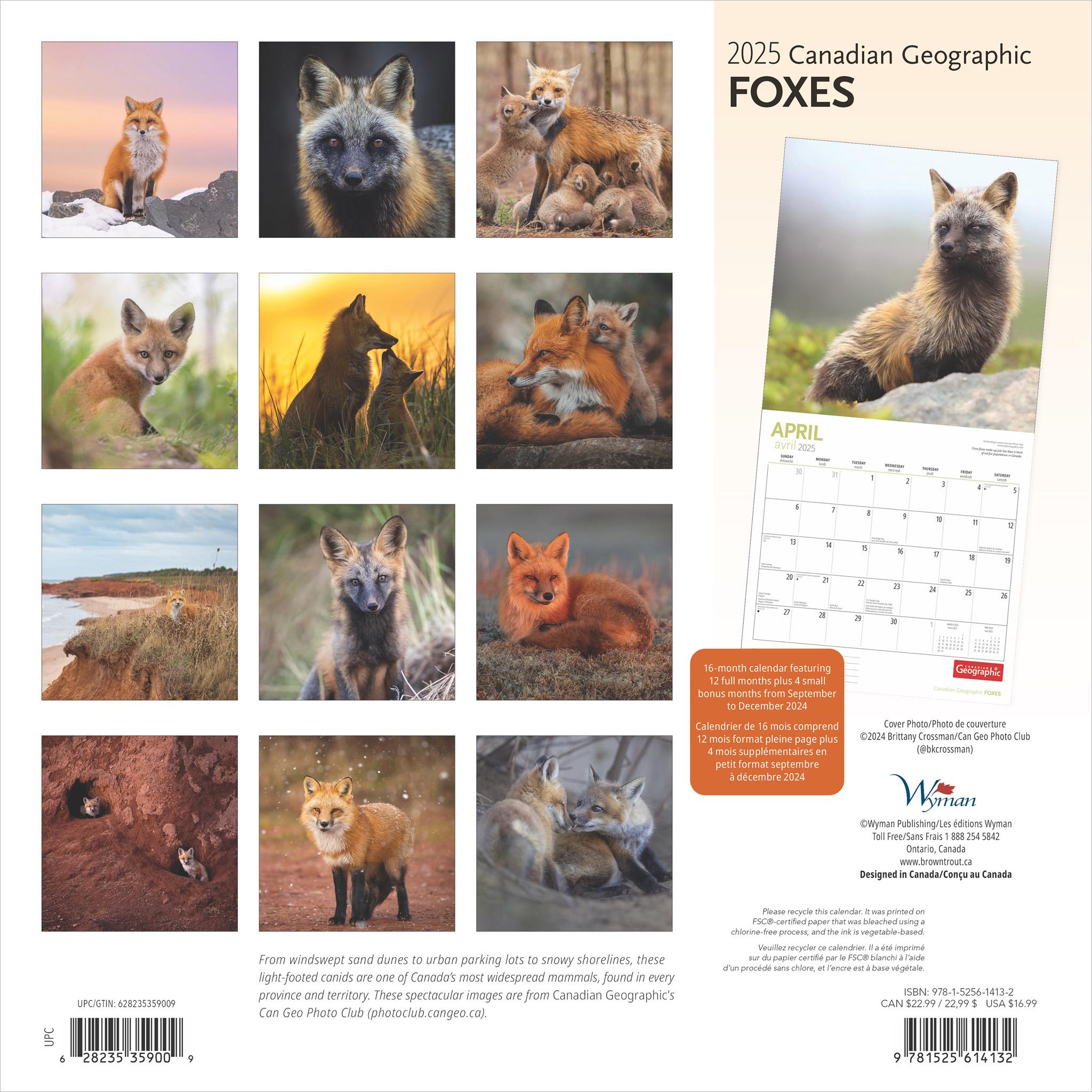 Foxes Canadian Geographic Wall 2025 Calendar - Online Exclusive