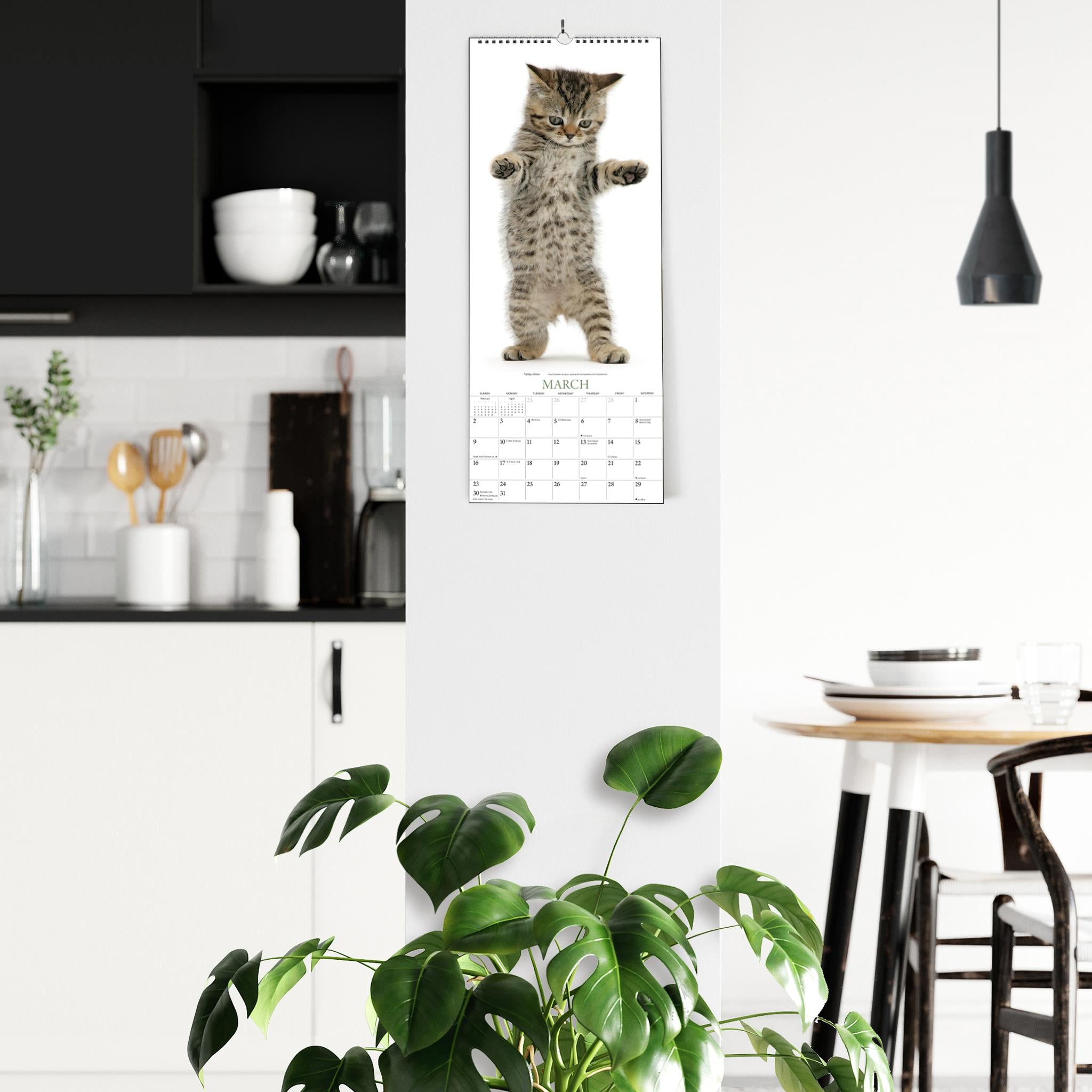 Cats Poster 2025 Calendar