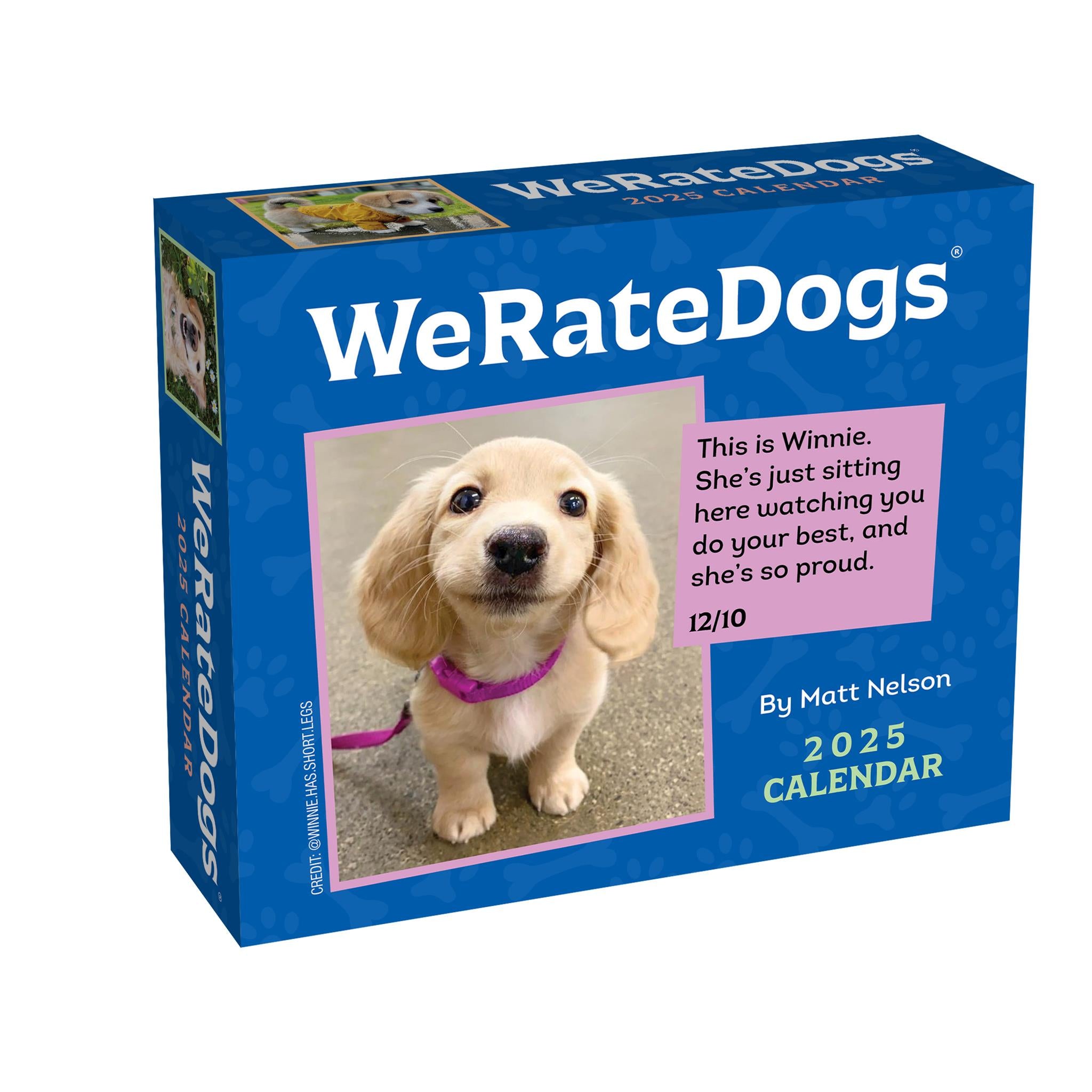 We Rate Dogs Box 2025 Calendar