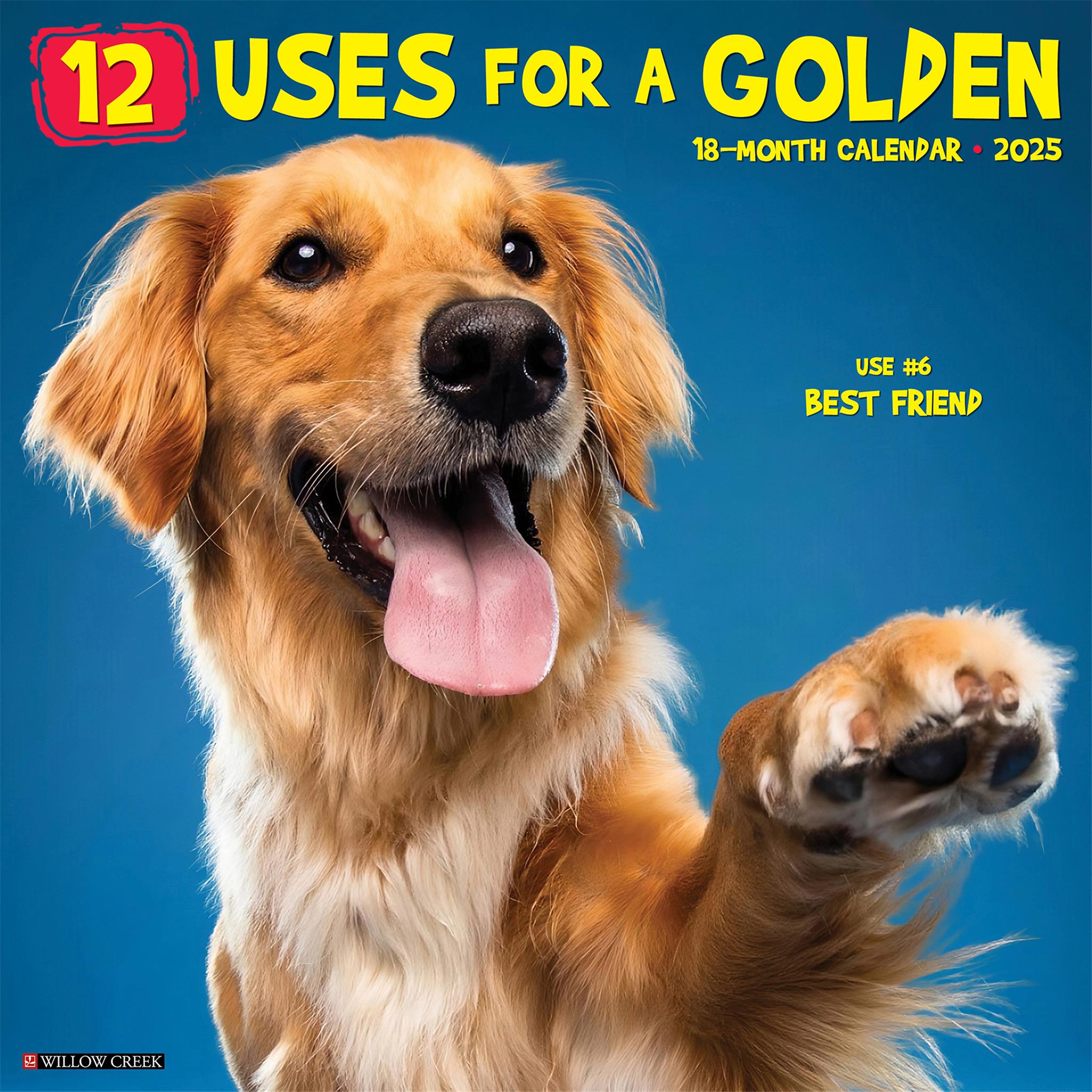 12 Uses for a Golden Wall 2025 Calendar