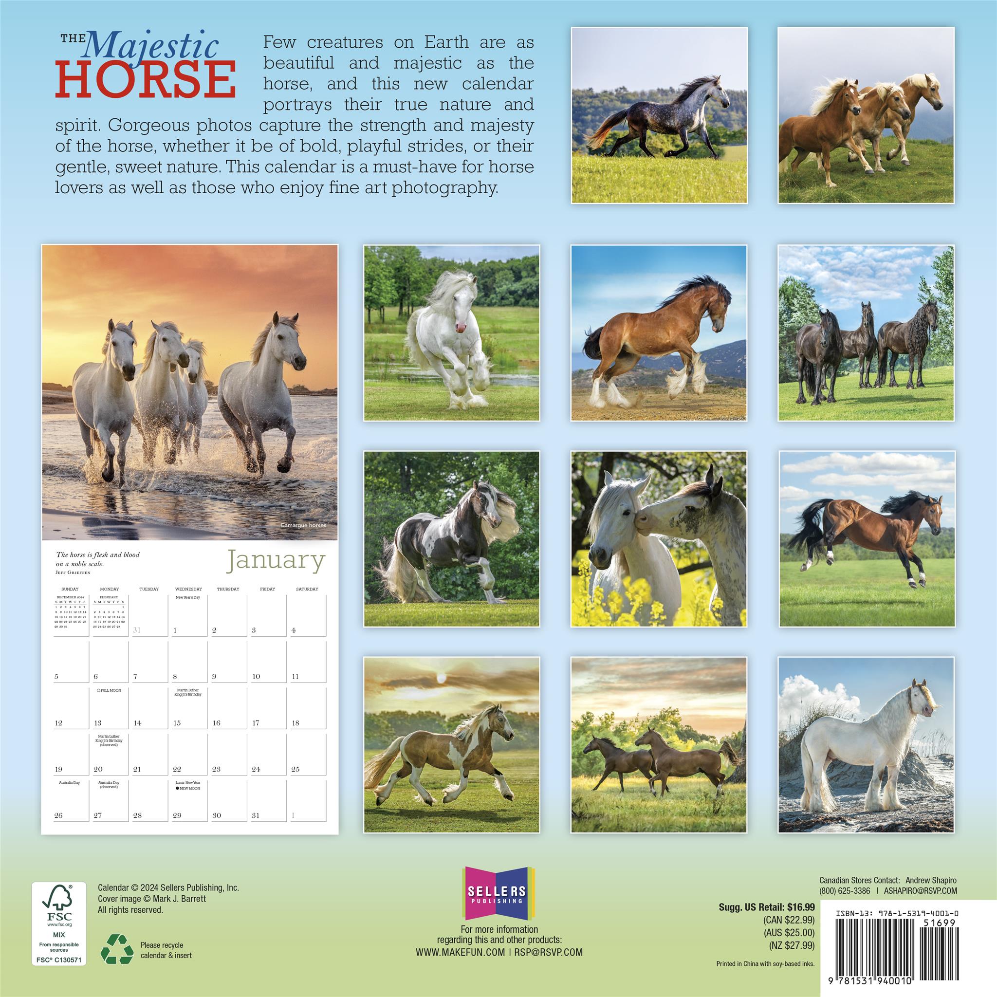 Majestic Horse Wall 2025 Calendar - Online Exclusive