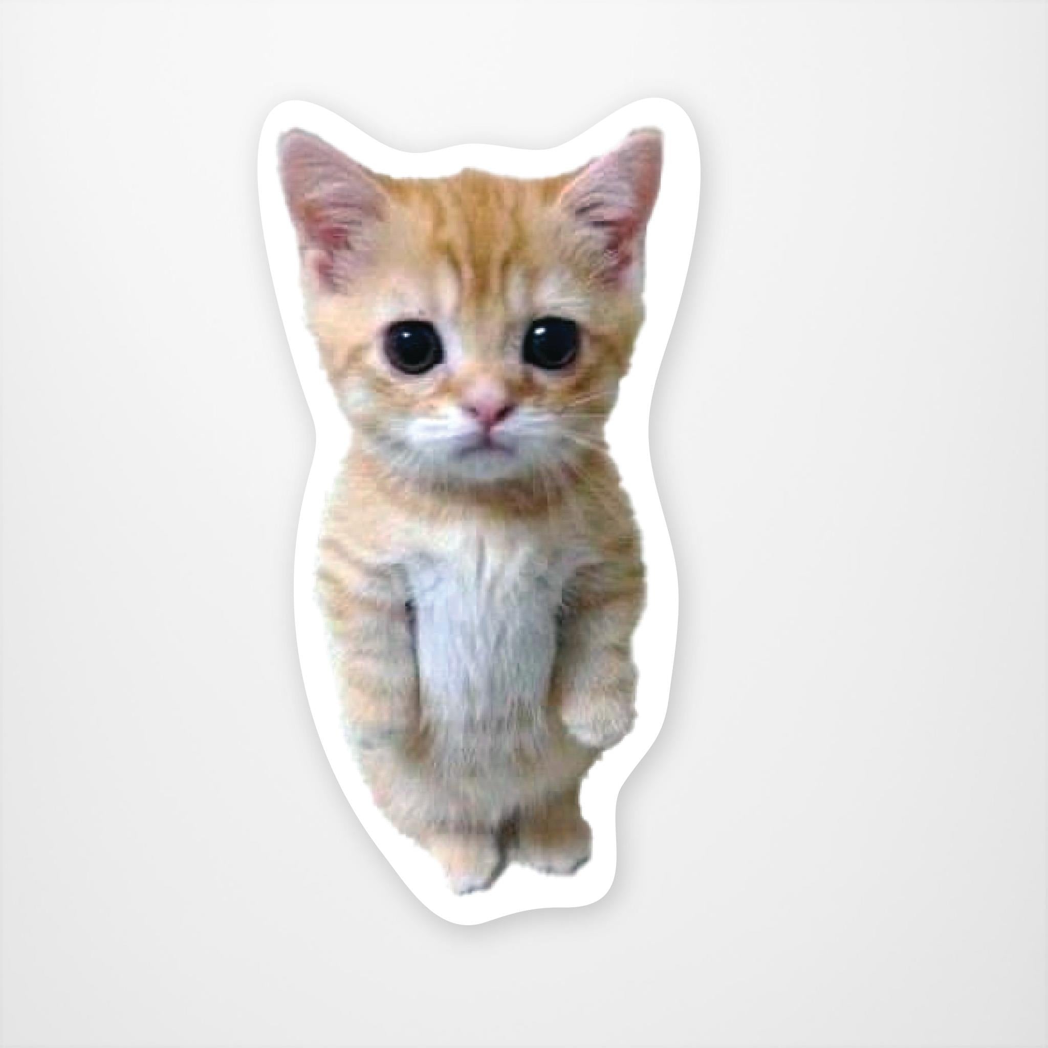 Standing Kitty Meme  Vinyl Sticker