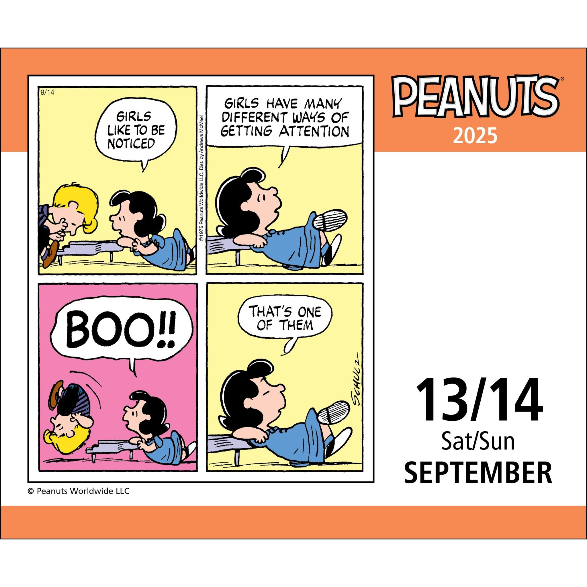 Peanuts Box 2025 Calendar