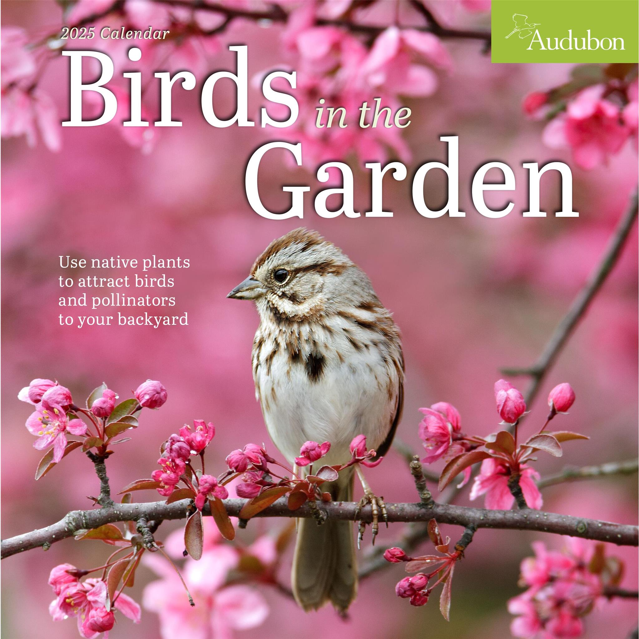 Audubon Birds In The Garden Wall 2025 Calendar