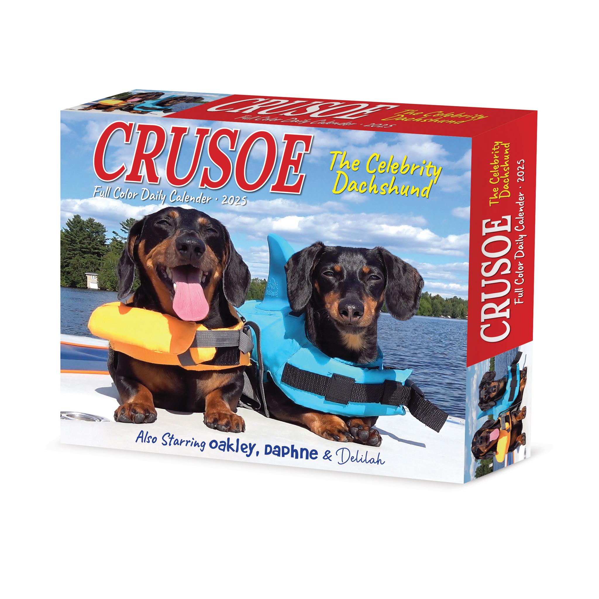 Crusoe The Celebrity Dachshund Box 2025 Calendar - Online Exclusive