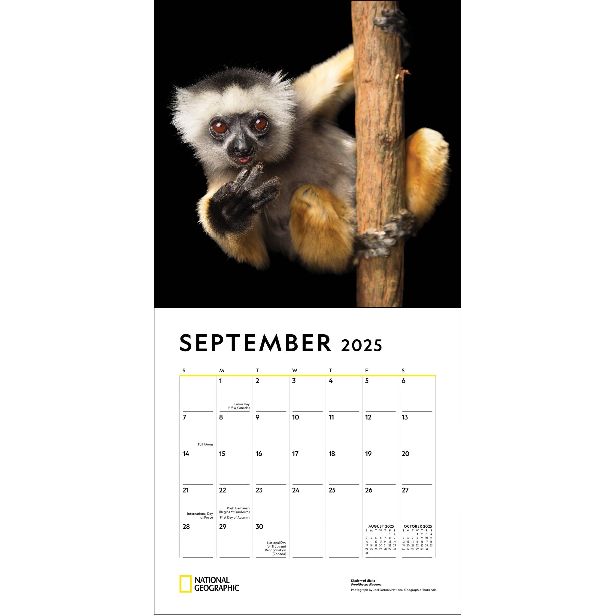 Endangered Species National Geographic Wall 2025 Calendar - Online Exclusive