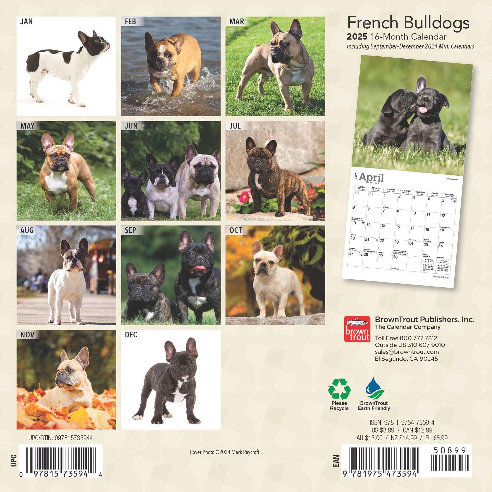 French Bulldogs Mini 2025 Calendar - Online Exclusive