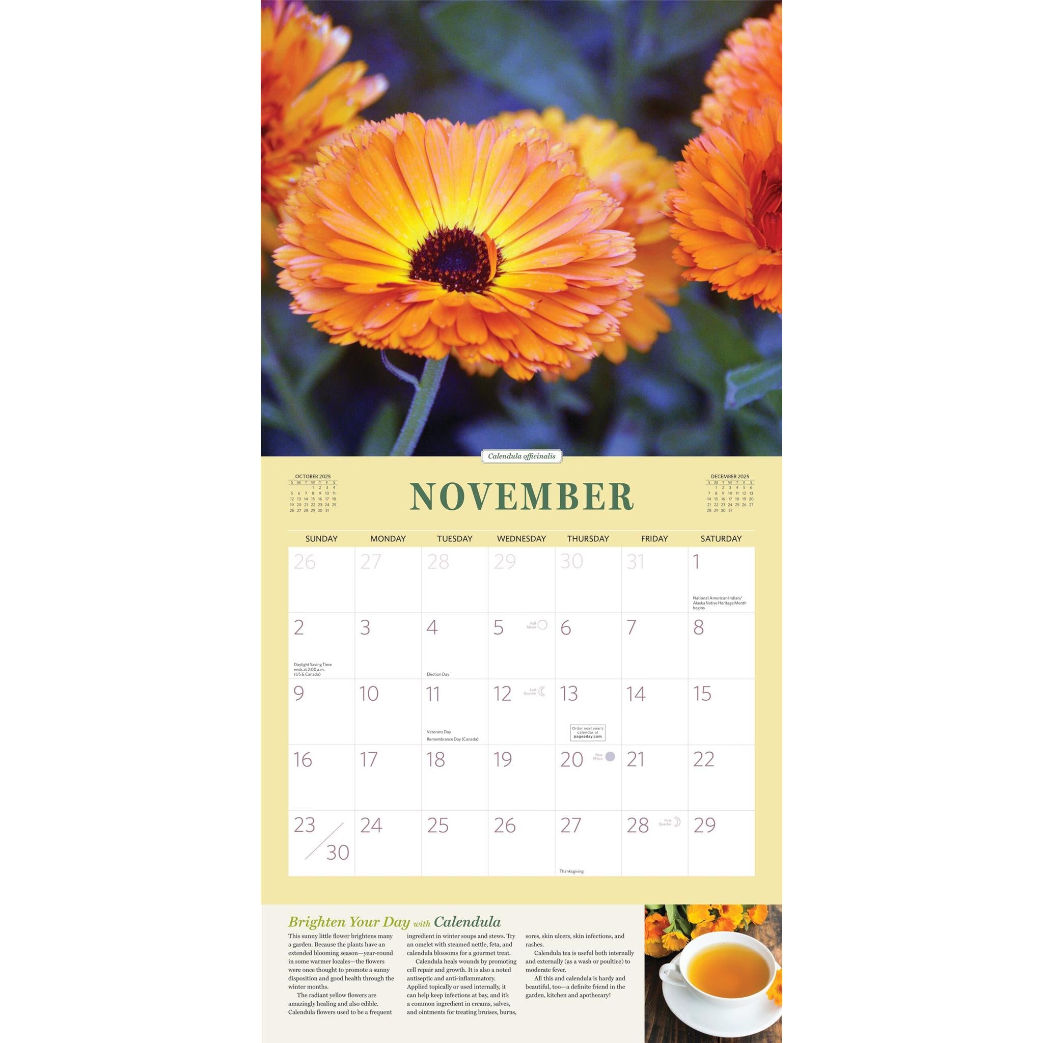 Herbs Wall 2025 Calendar