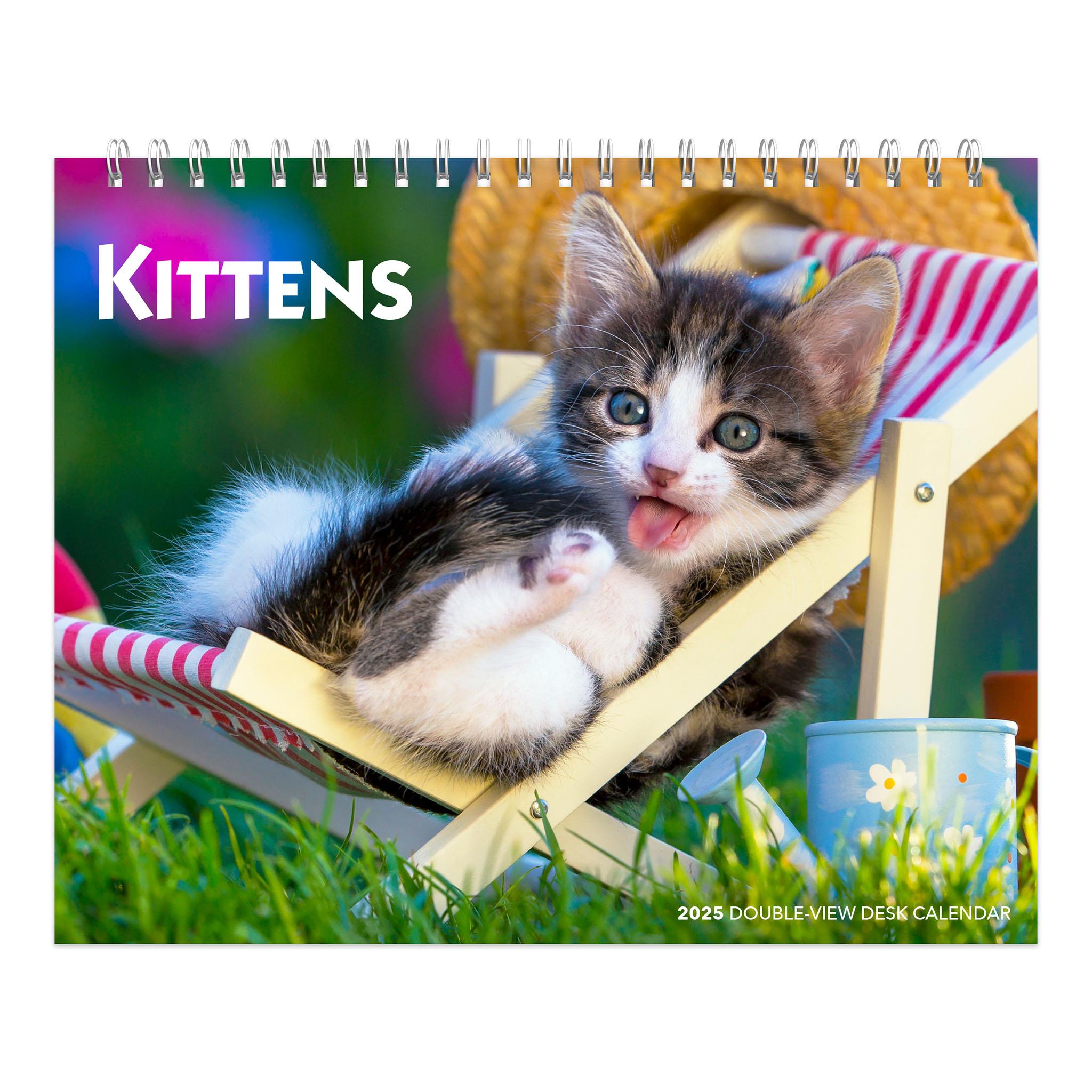 Kittens Easel 2025 Calendar