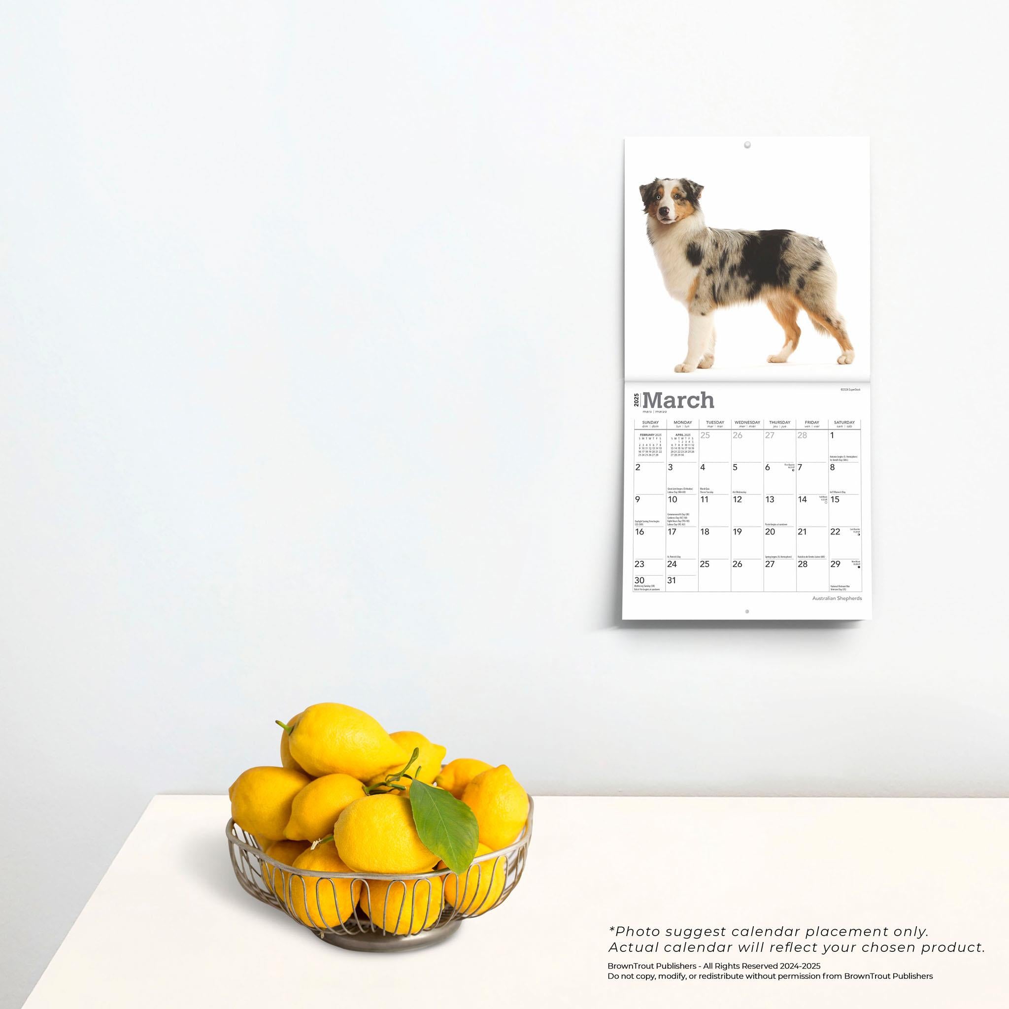 Australian Shepherds Mini 2025 Calendar - Online Exclusive