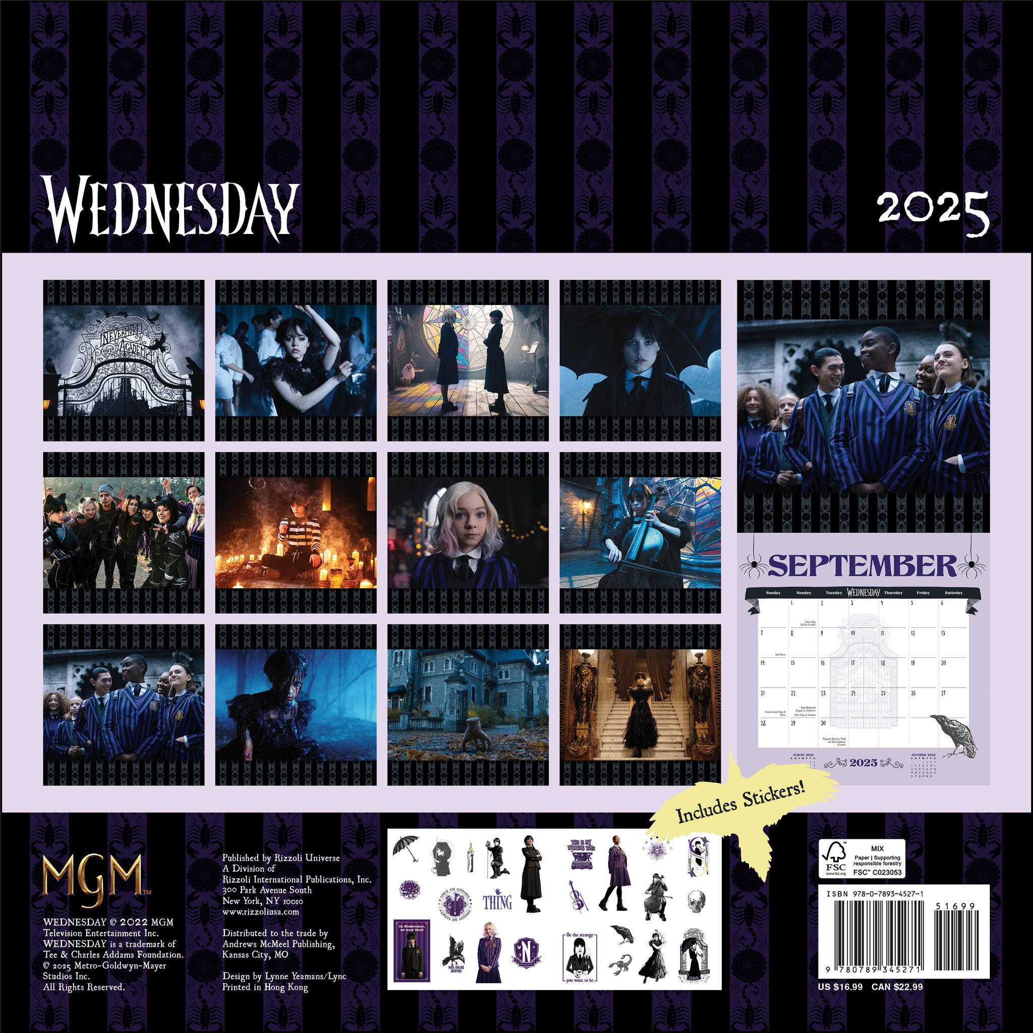 Wednesday Wall 2025 Calendar