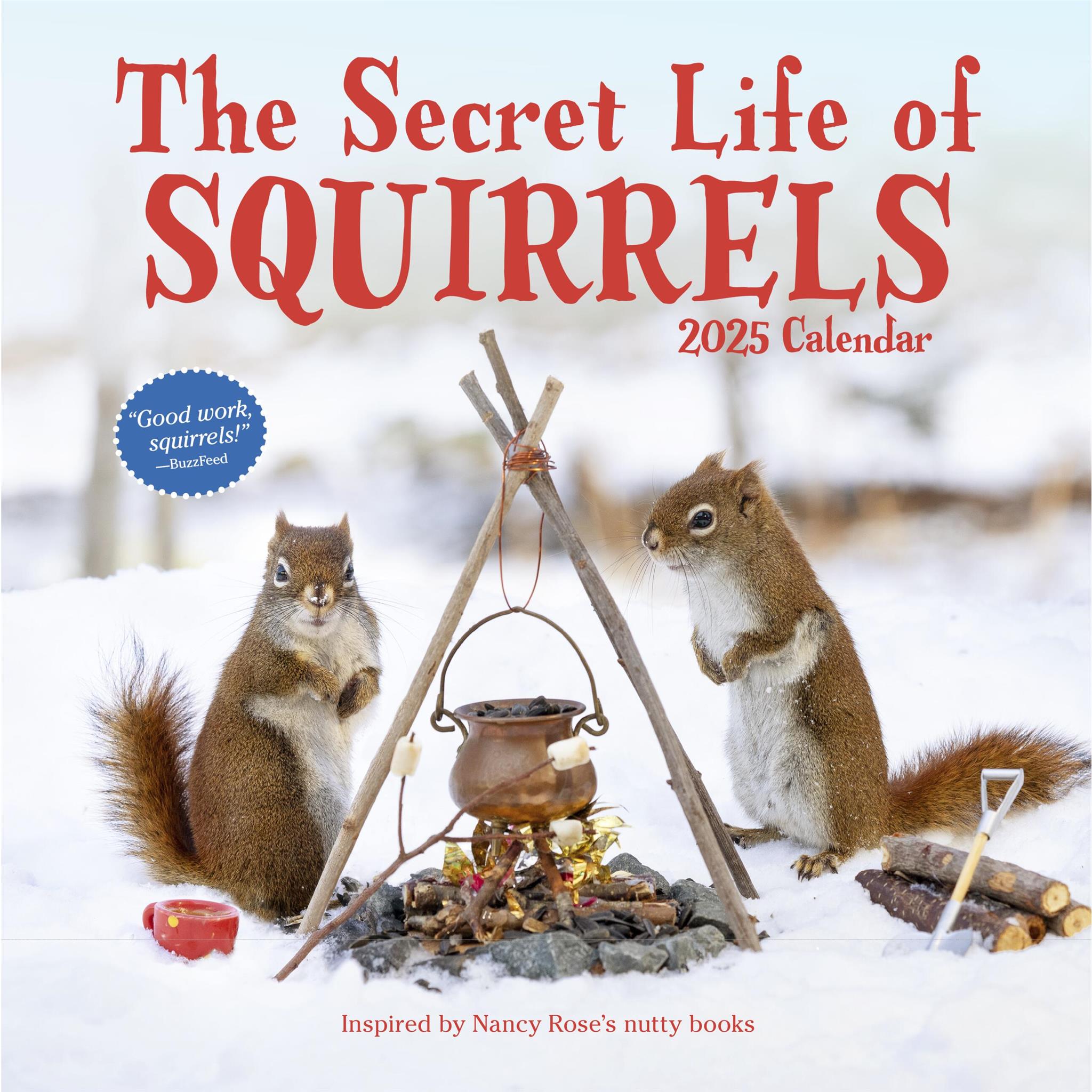 Secret Life Of Squirrels Wall 2025 Calendar