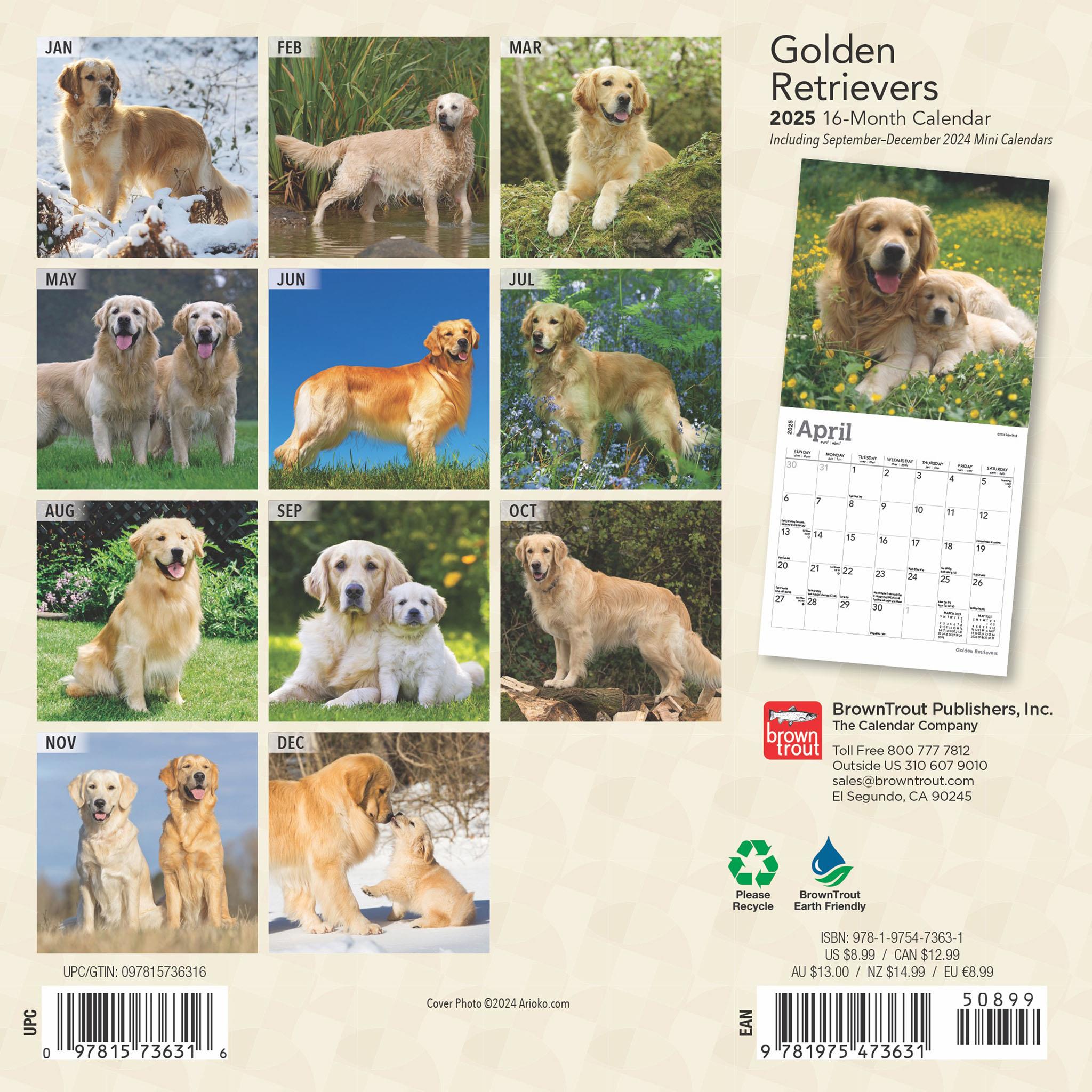 Golden Retrievers Mini 2025 Calendar - Online Exclusive