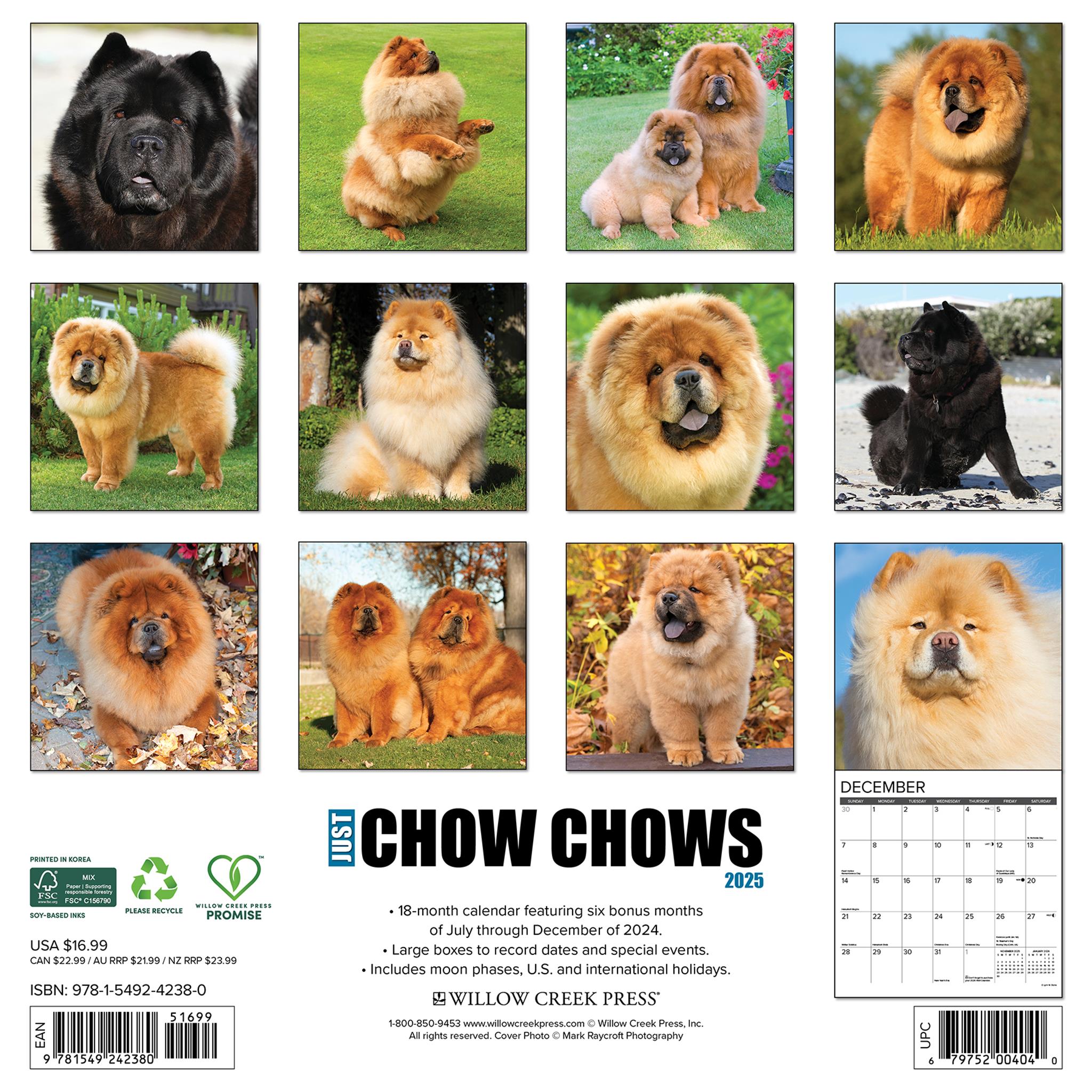 Just Chow Chows Wall 2025 Calendar