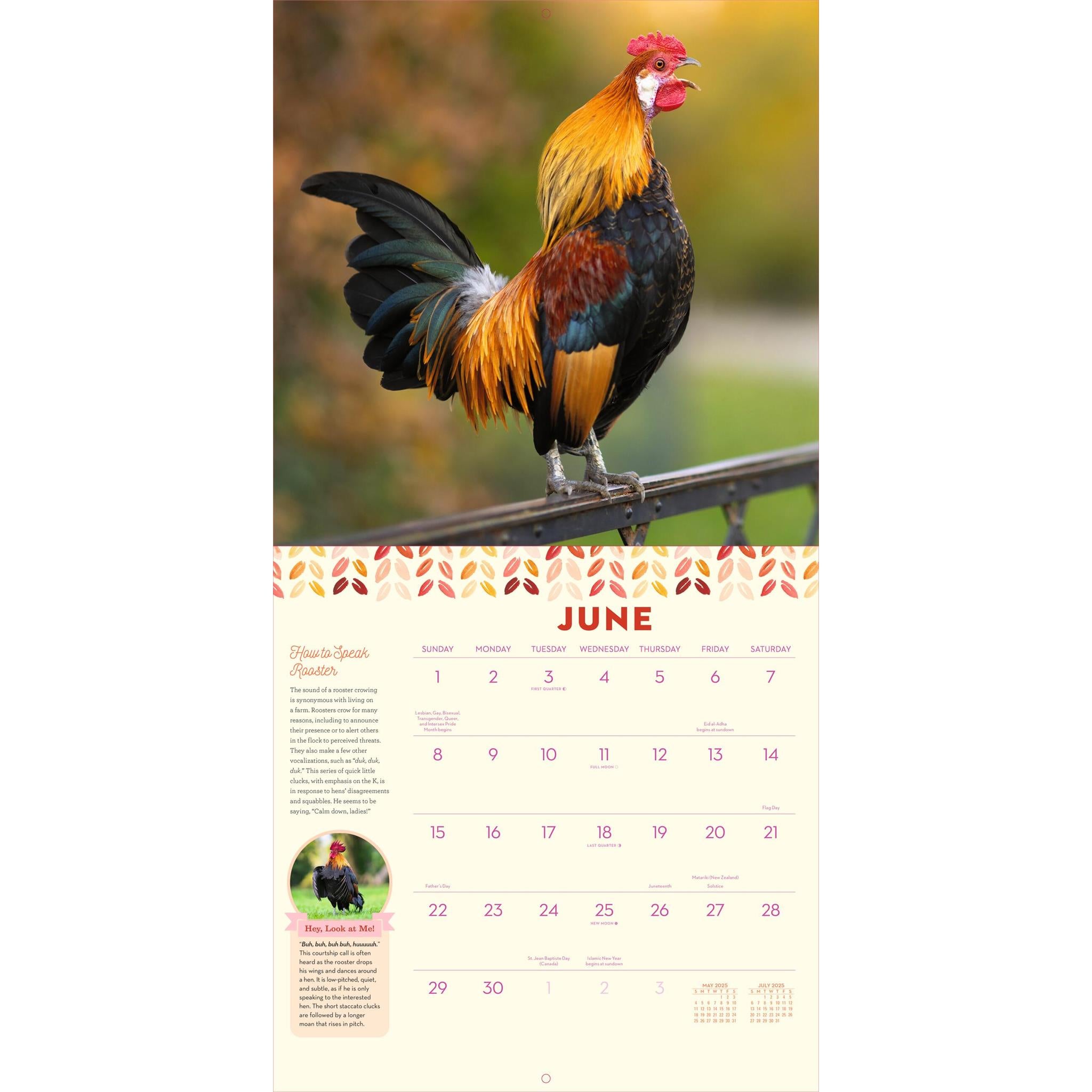 How To Speak Chicken Wall 2025 Calendar - Online Exclusive