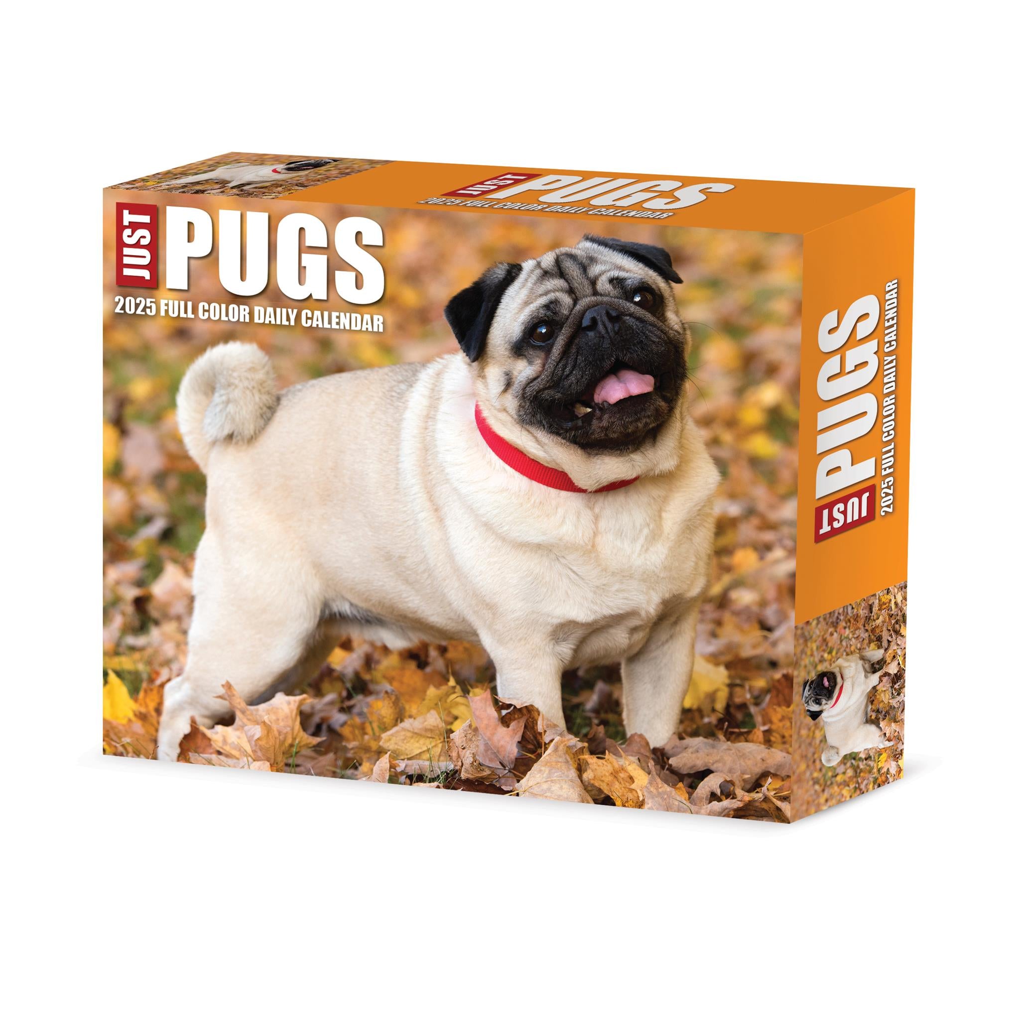 Just Pugs Box 2025 Calendar - Online Exclusive