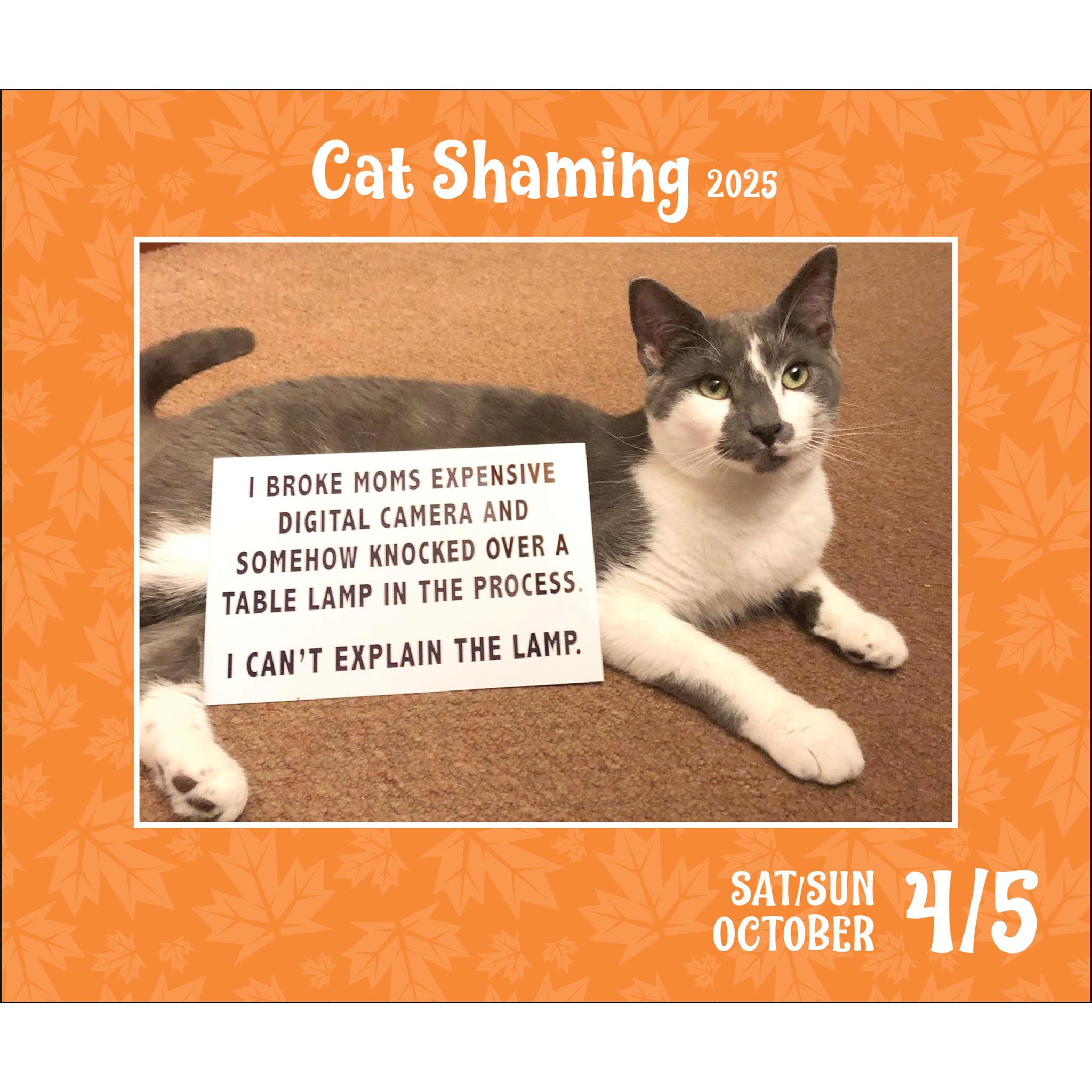 Cat Shaming Box 2025 Calendar