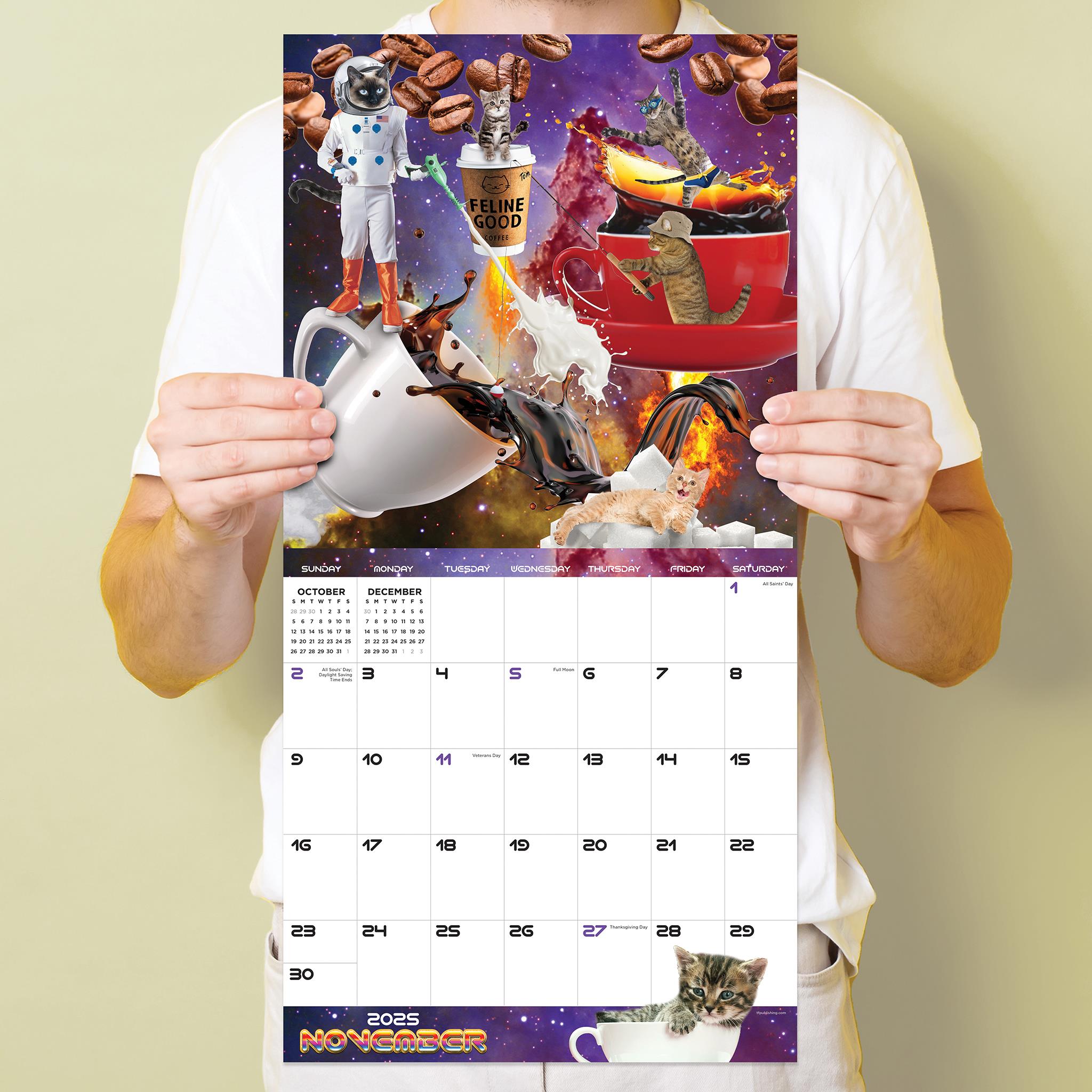 Space Cats Wall 2025 Calendar - Online Exclusive