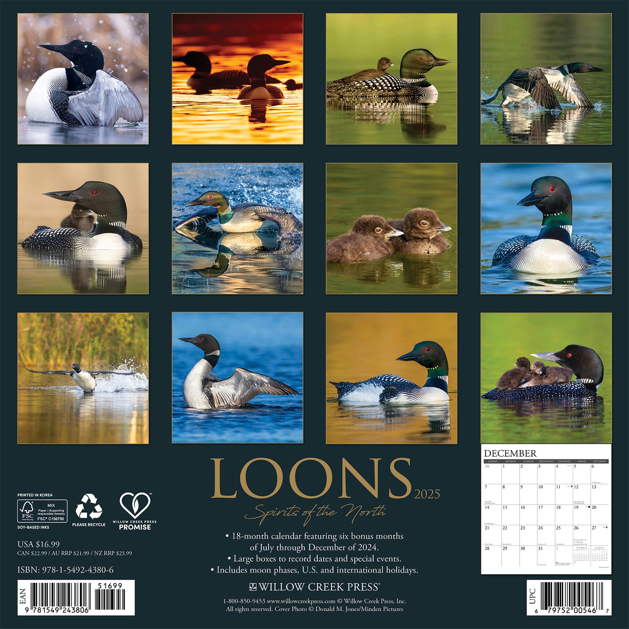 Loons Wall 2025 Calendar