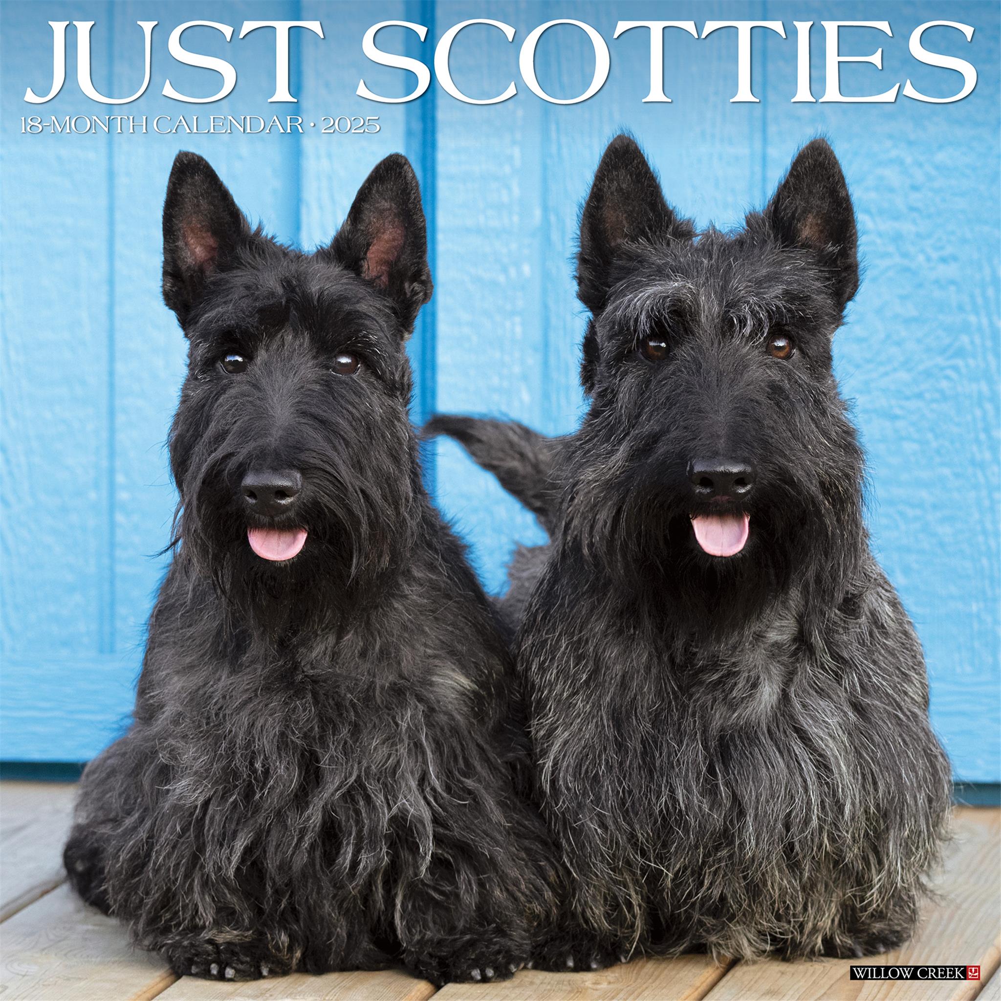 Just Scotties Wall 2025 Calendar