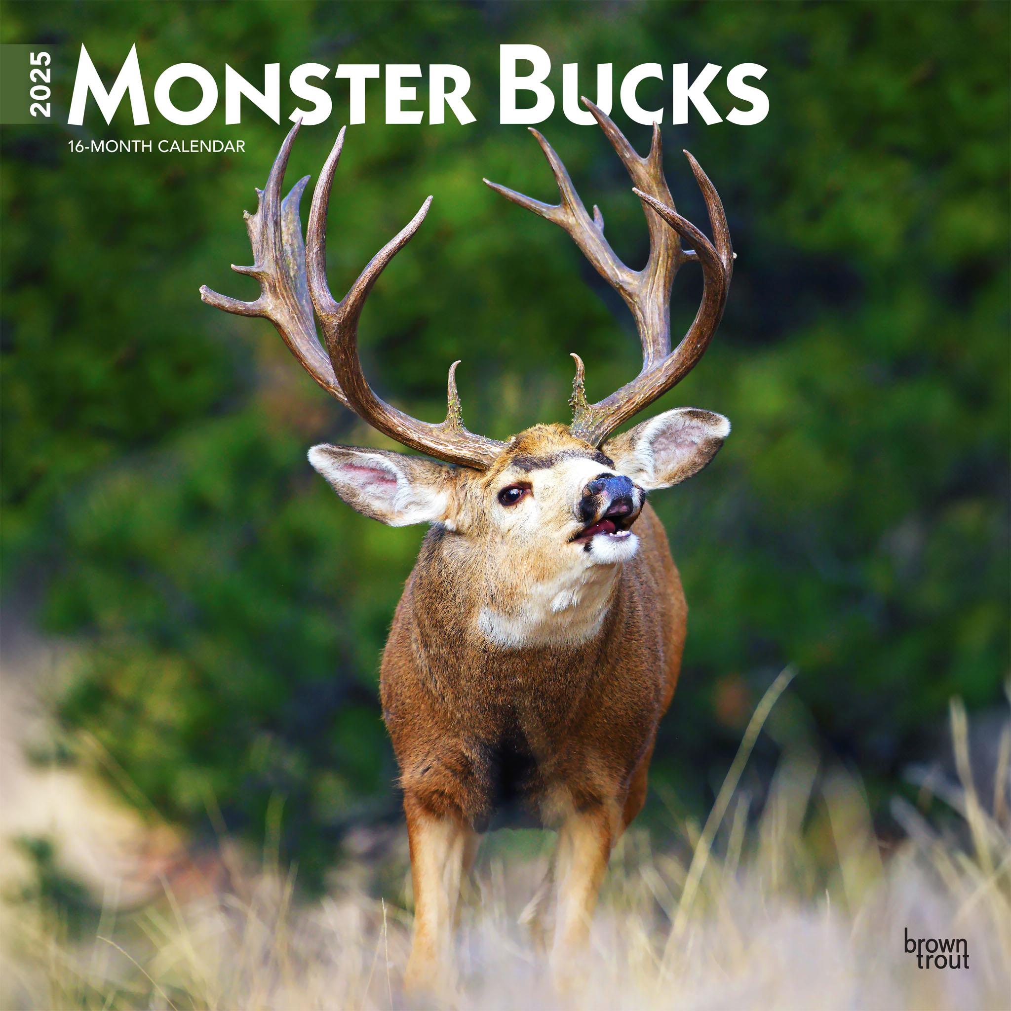 Monster Bucks Wall 2025 Calendar - Online Exclusive