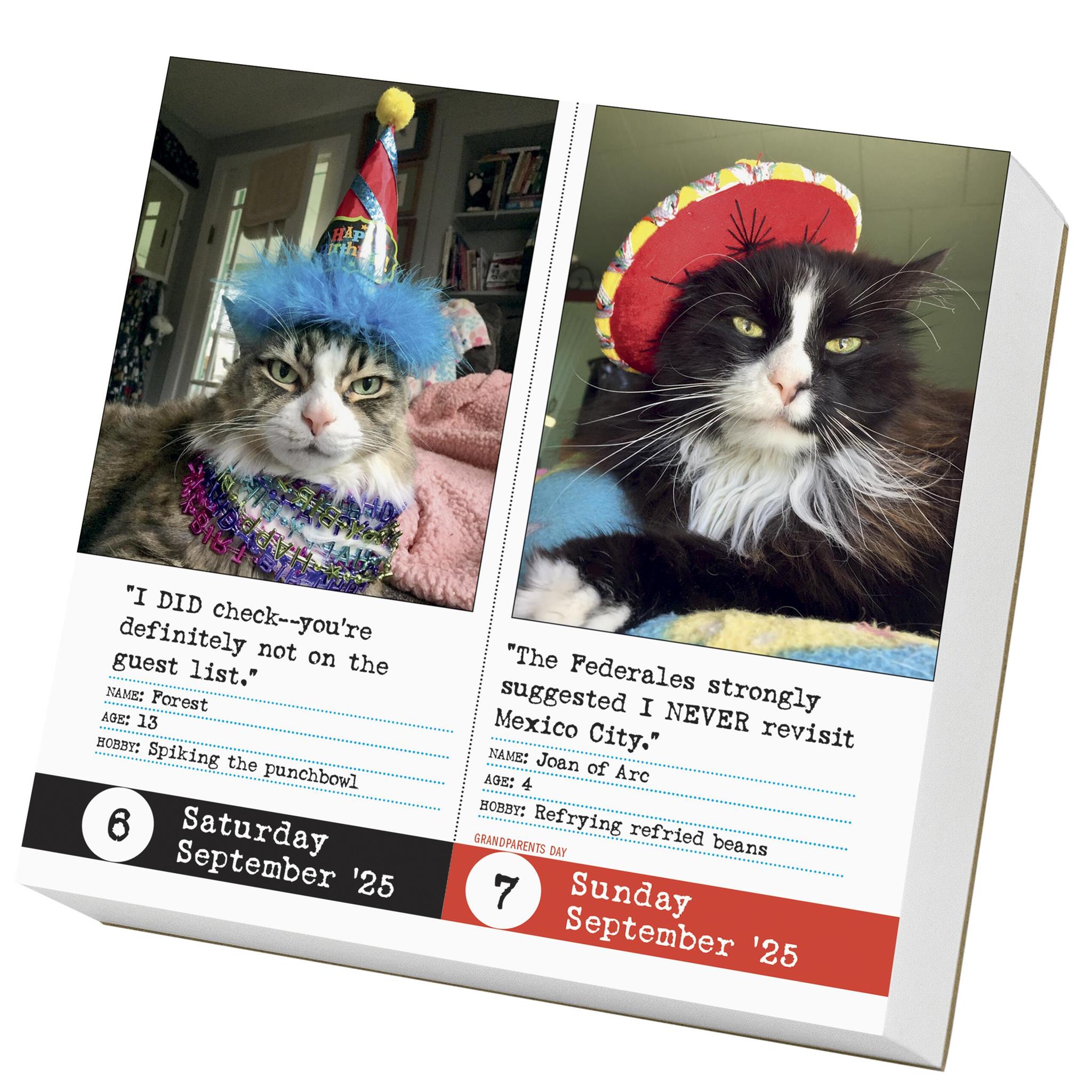 Bad Cat Box 2025 Calendar