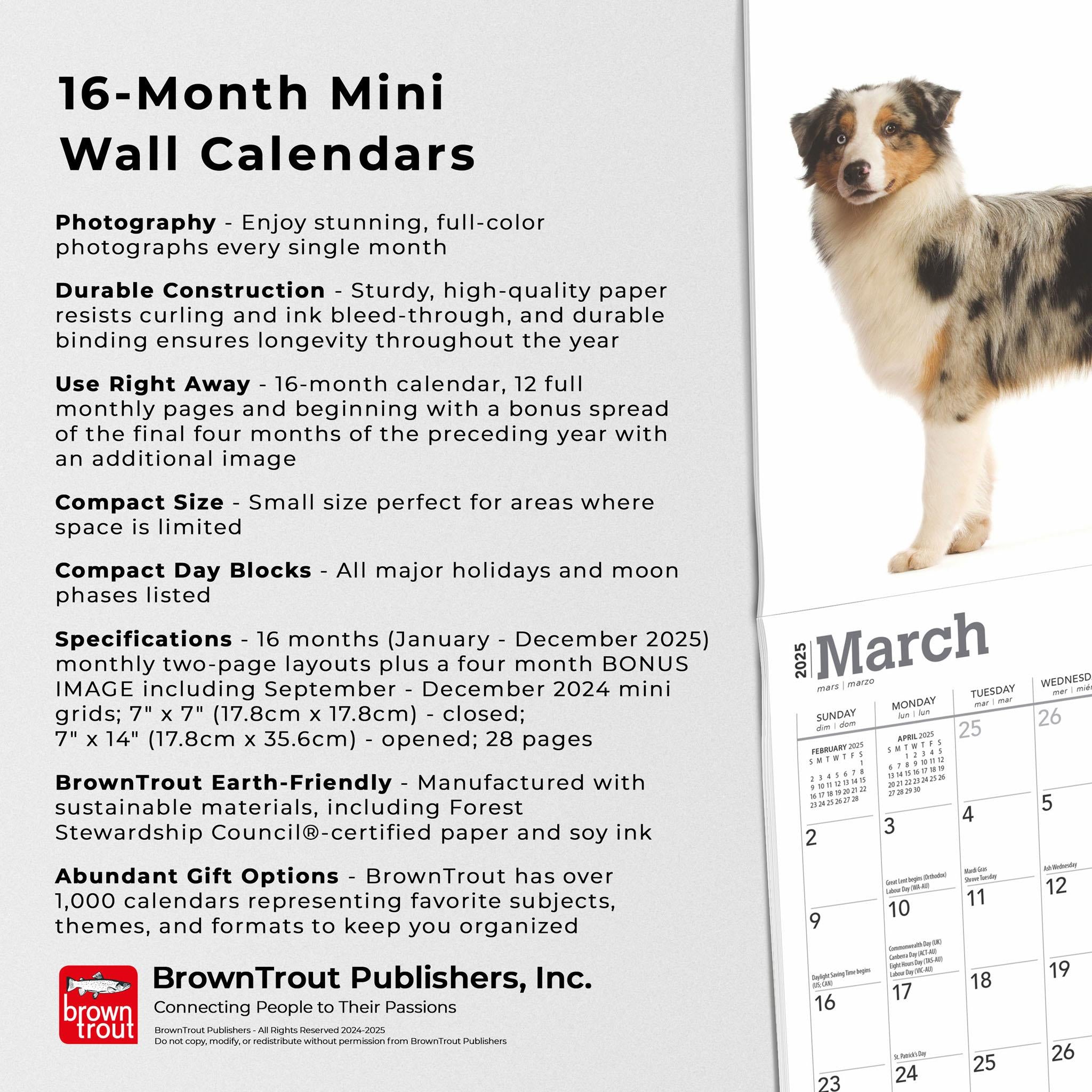 Australian Shepherds Mini 2025 Calendar - Online Exclusive