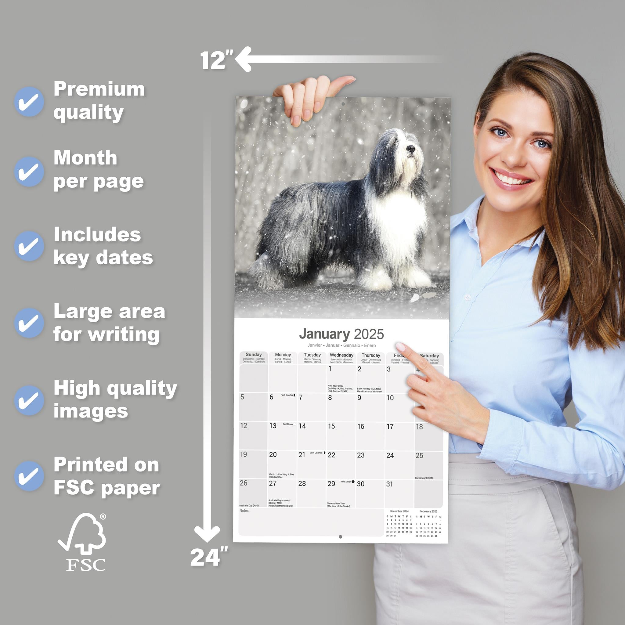 Bearded Collie Wall 2025 Calendar - Online Exclusive