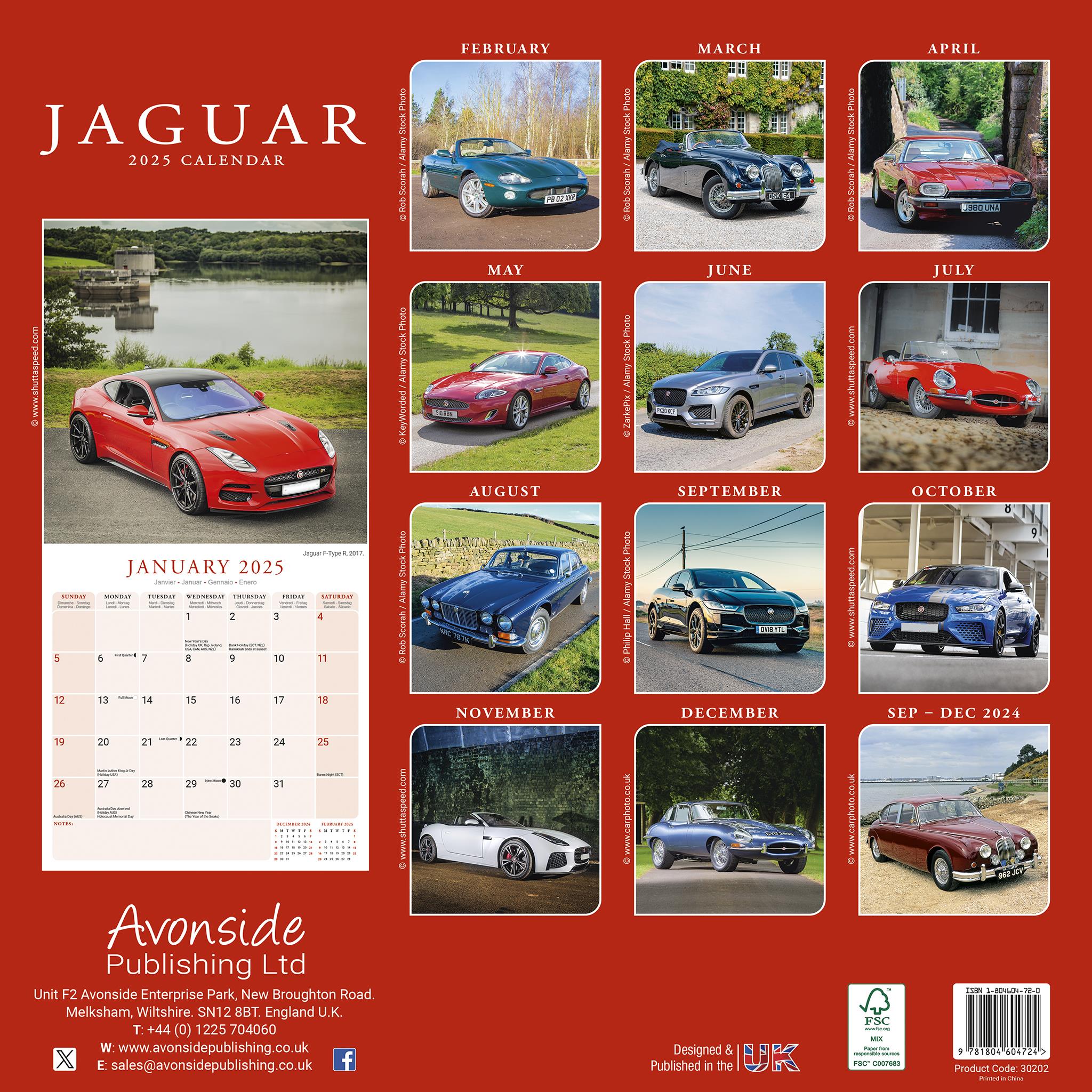 Jaguar Wall 2025 Calendar - Online Exclusive