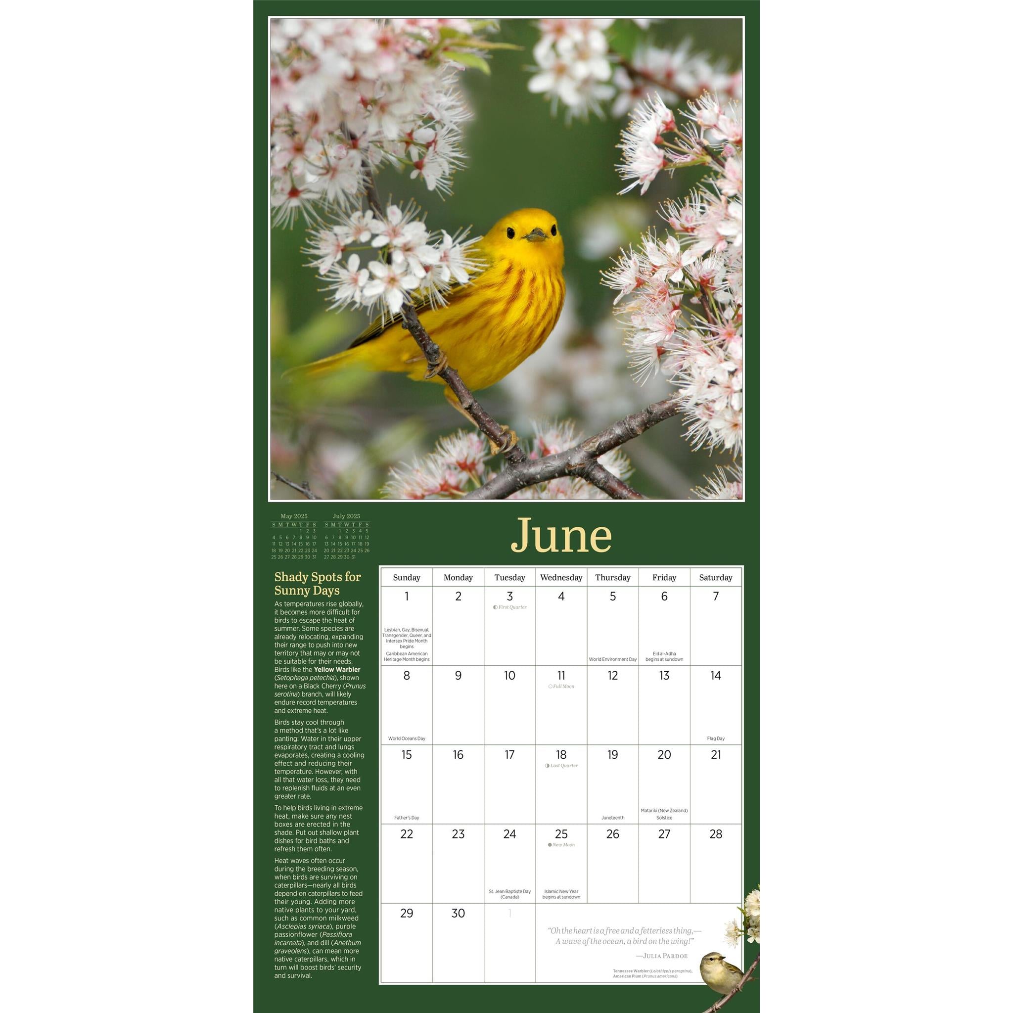 Audubon Birds In The Garden Wall 2025 Calendar