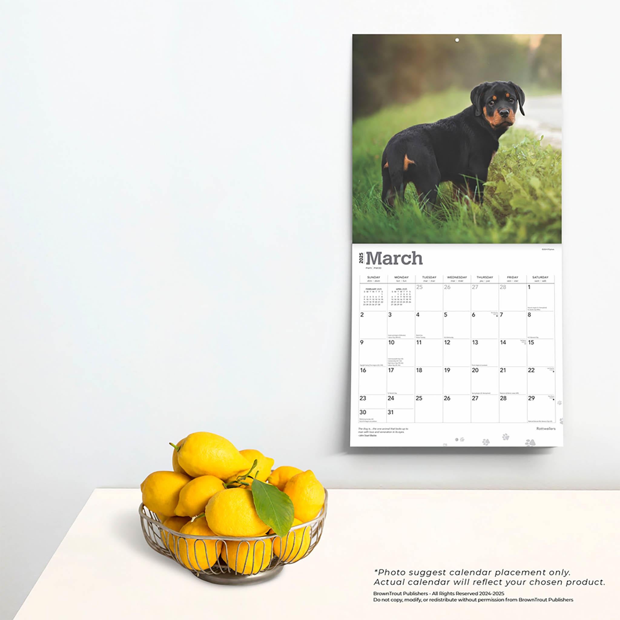 Rottweilers Wall 2025 Calendar