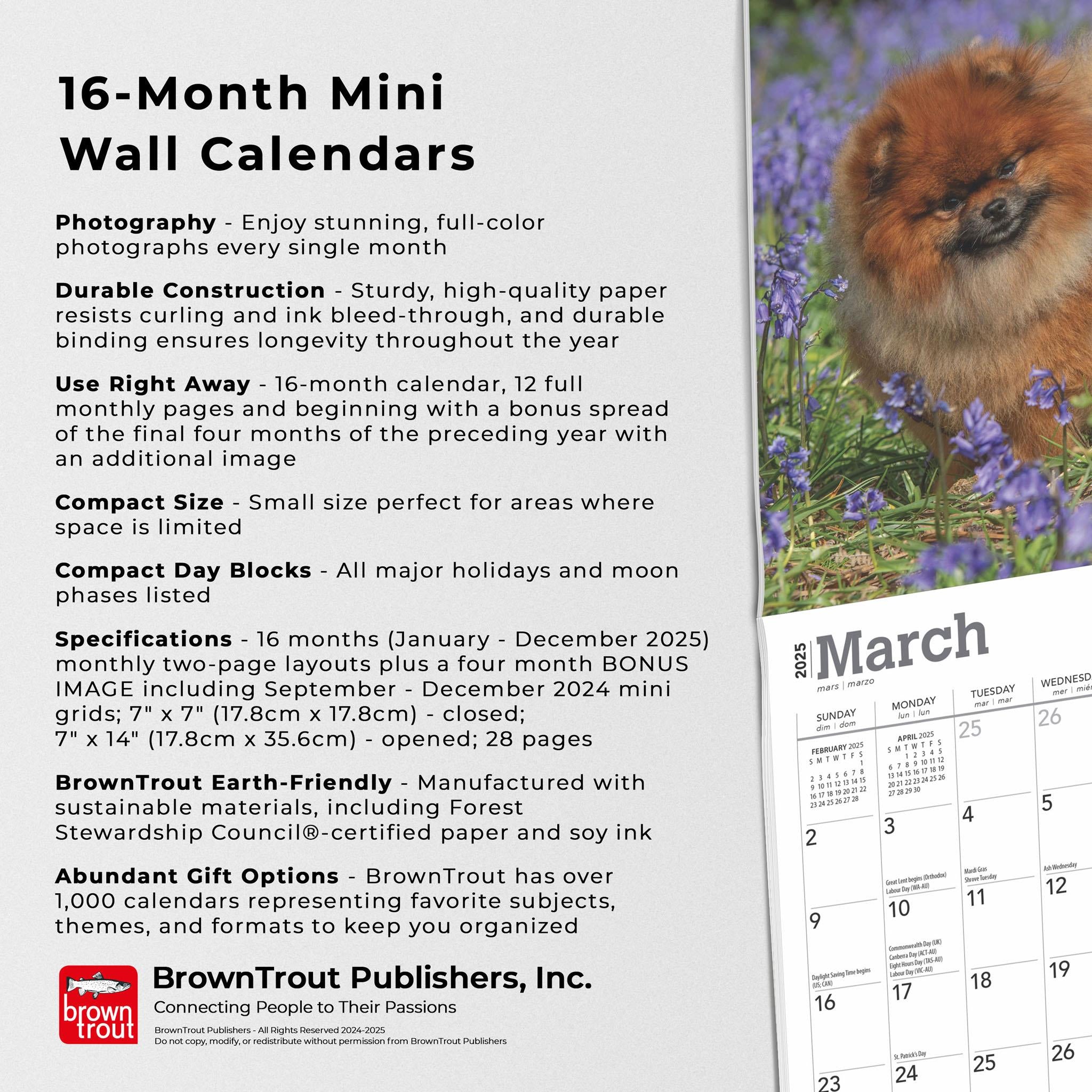 Pomeranians Mini 2025 Calendar