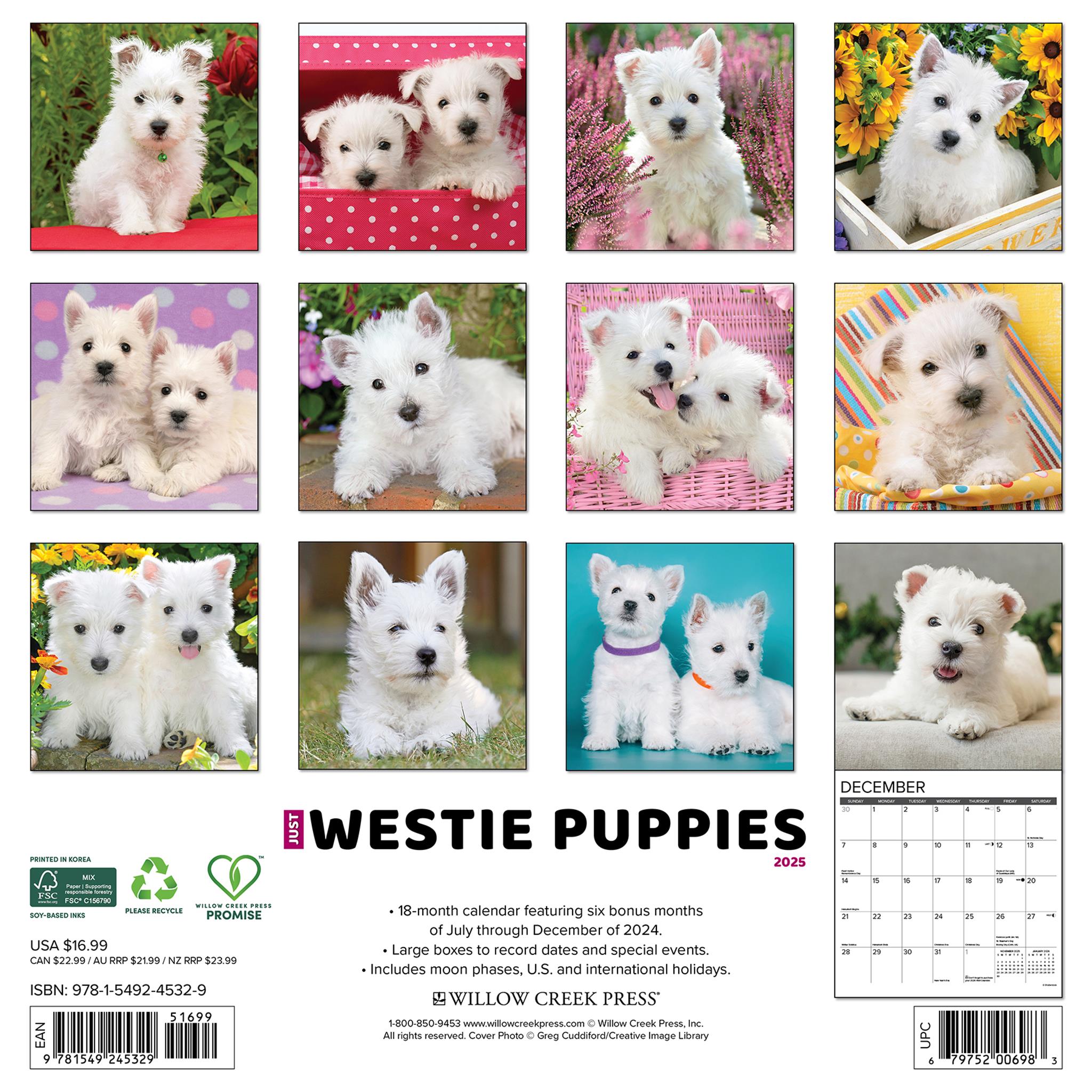 Westie Puppies Wall 2025 Calendar - Online Exclusive