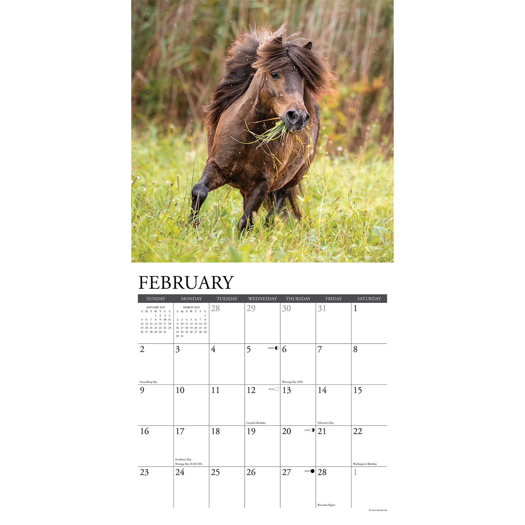 Ponies Wall 2025 Calendar - Online Exclusive