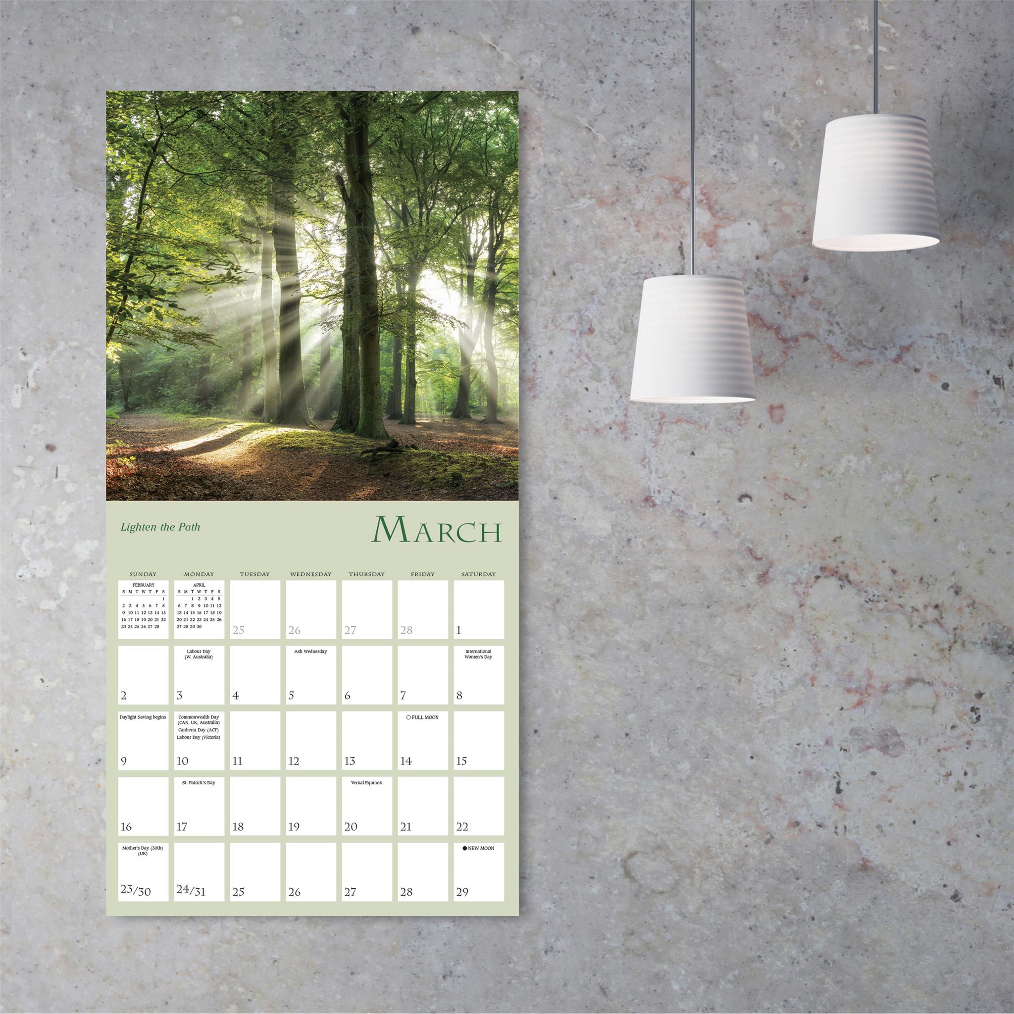 Enchanted Pathways Wall 2025 Calendar