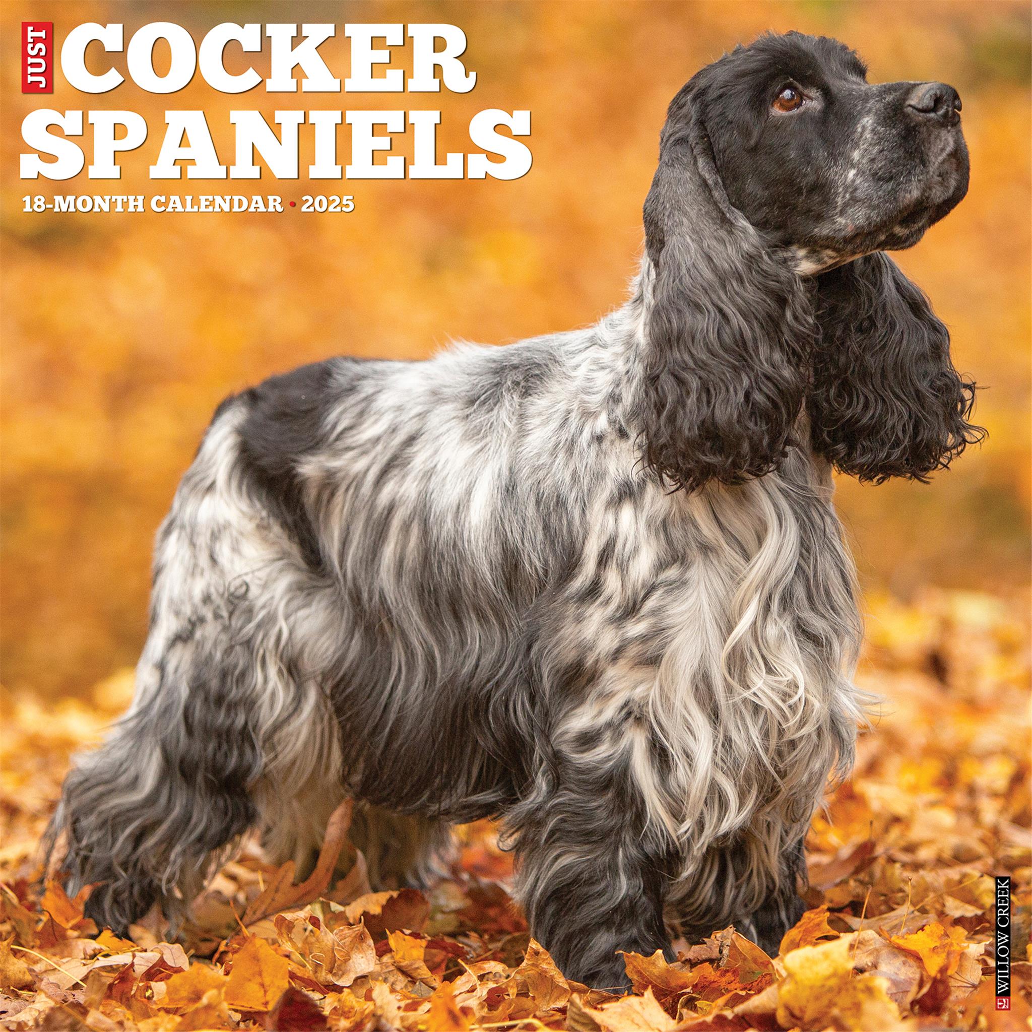 Just Cocker Spaniels Wall 2025 Calendar