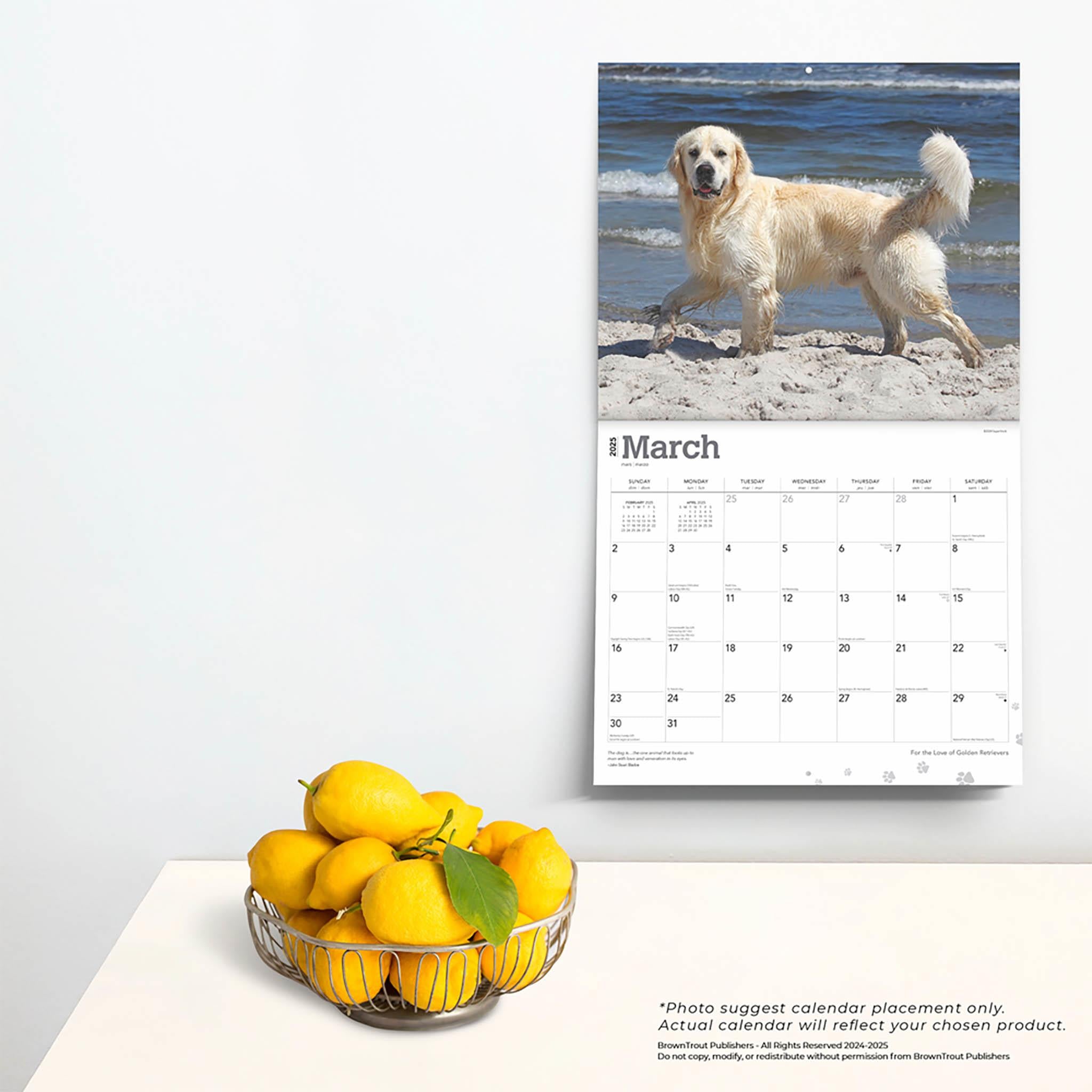 For the Love of Golden Retrievers Deluxe Wall 2025 Calendar