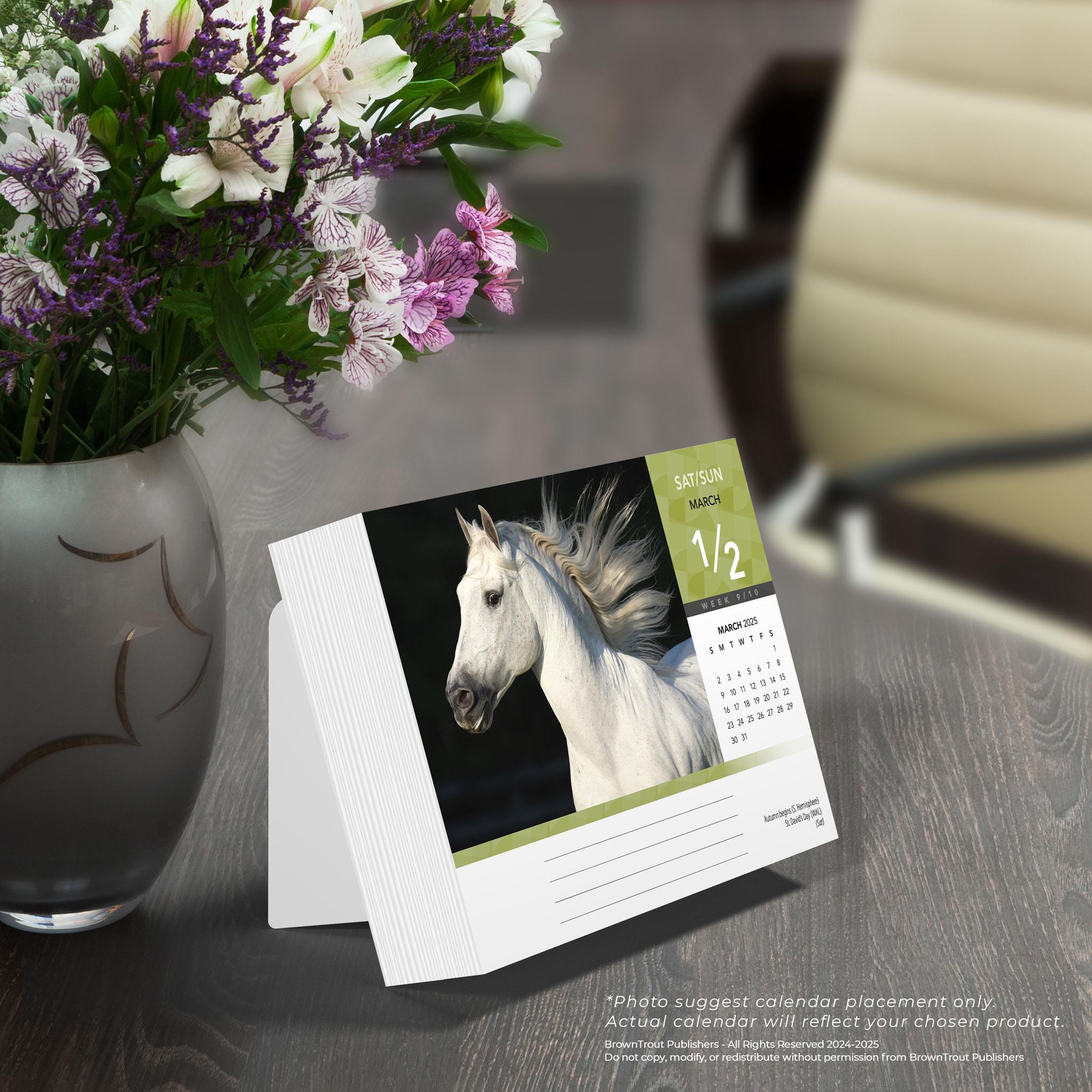 Horse Lovers Box 2025 Calendar - Online Exclusive