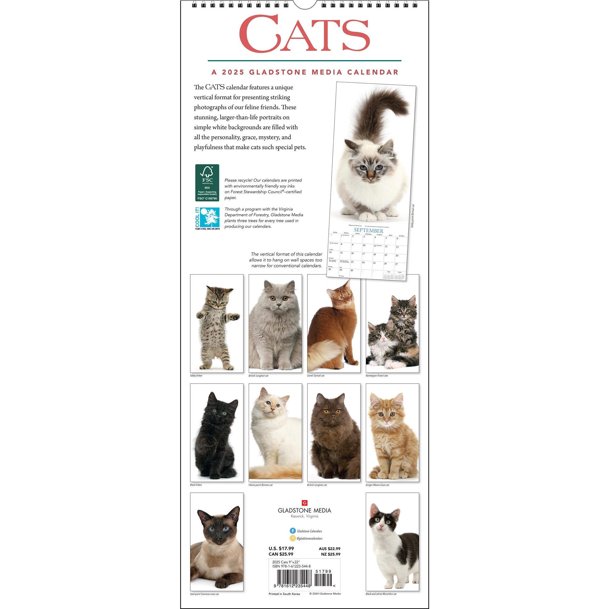 Cats Poster 2025 Calendar