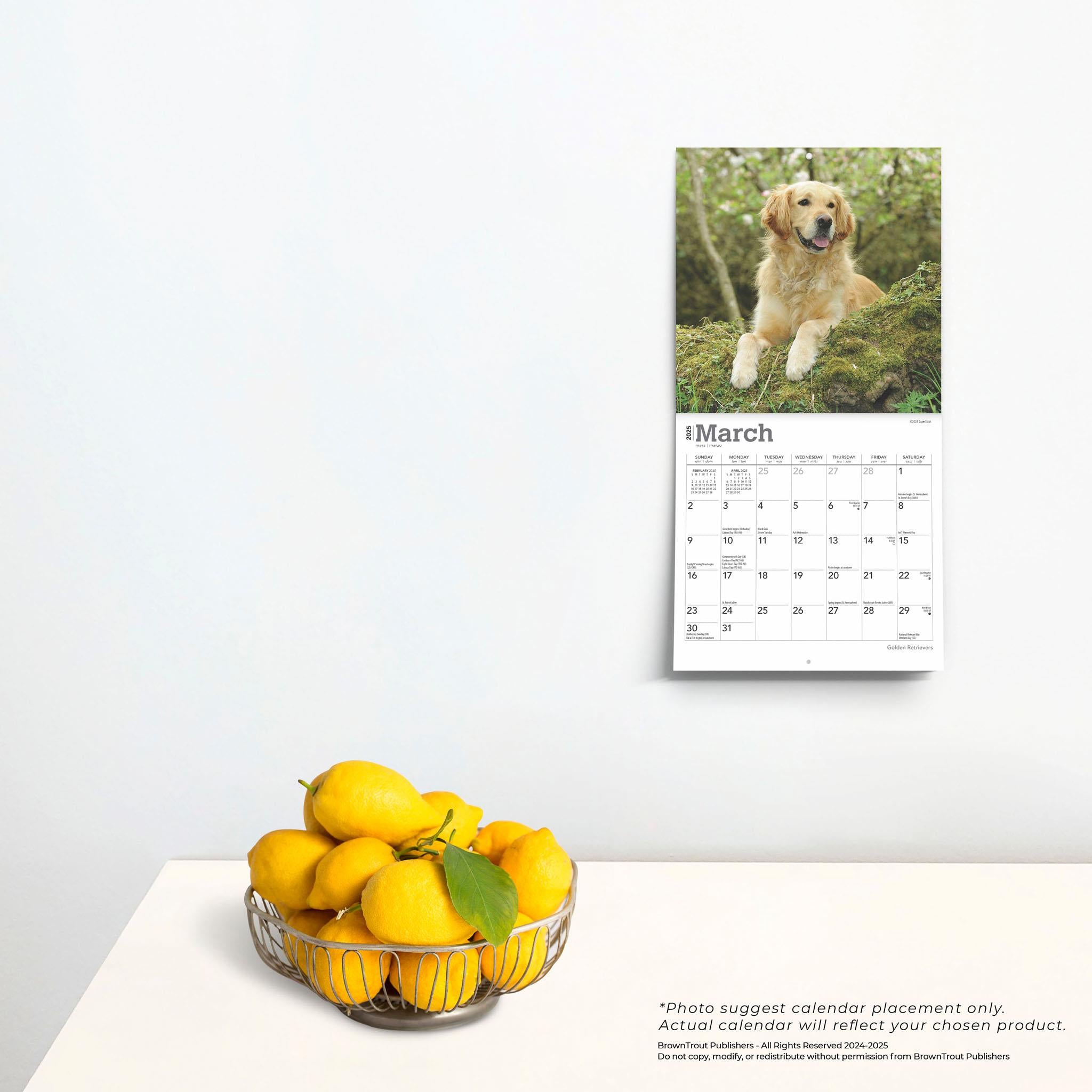 Golden Retrievers Mini 2025 Calendar - Online Exclusive