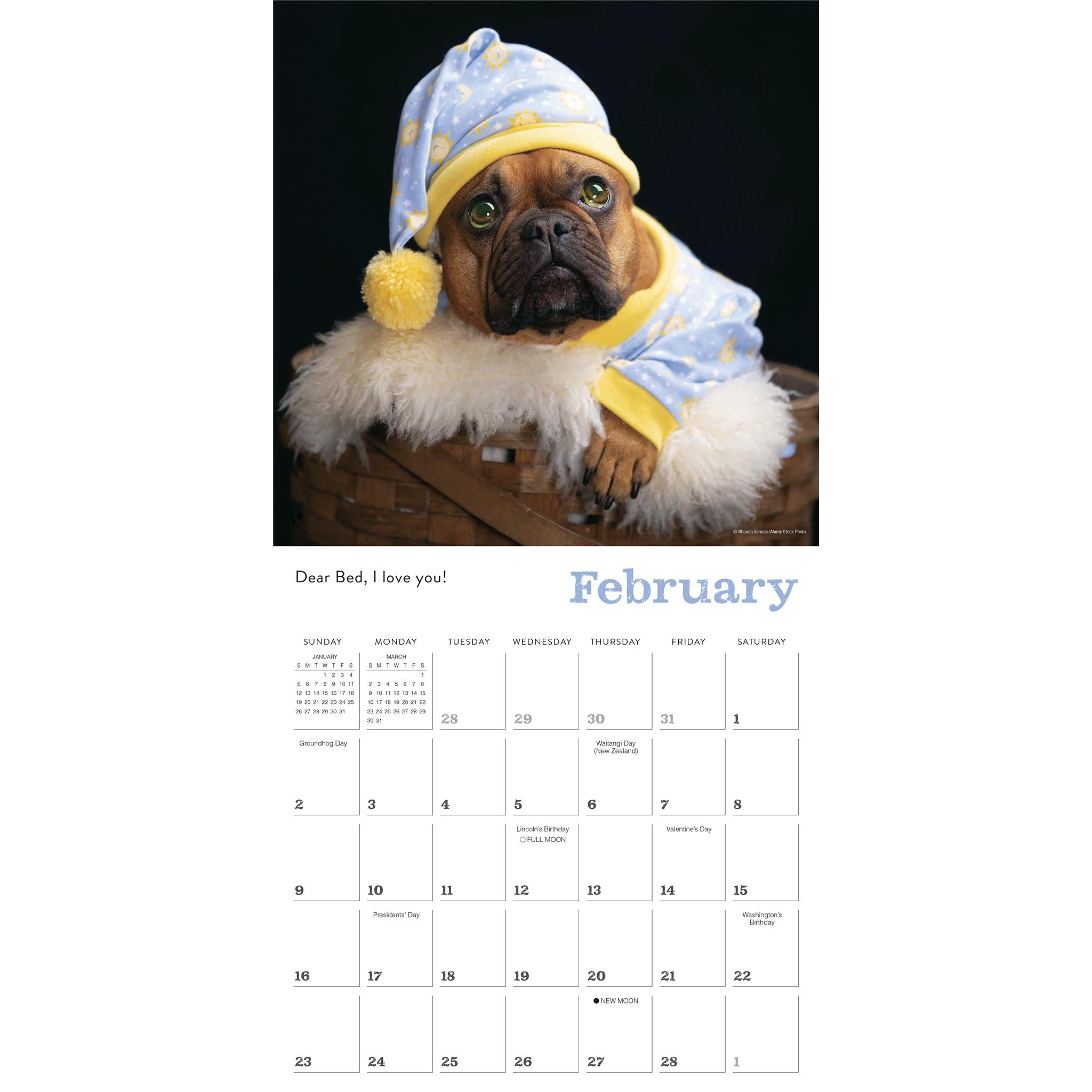 Pajama Pups Wall 2025 Calendar - Online Exclusive