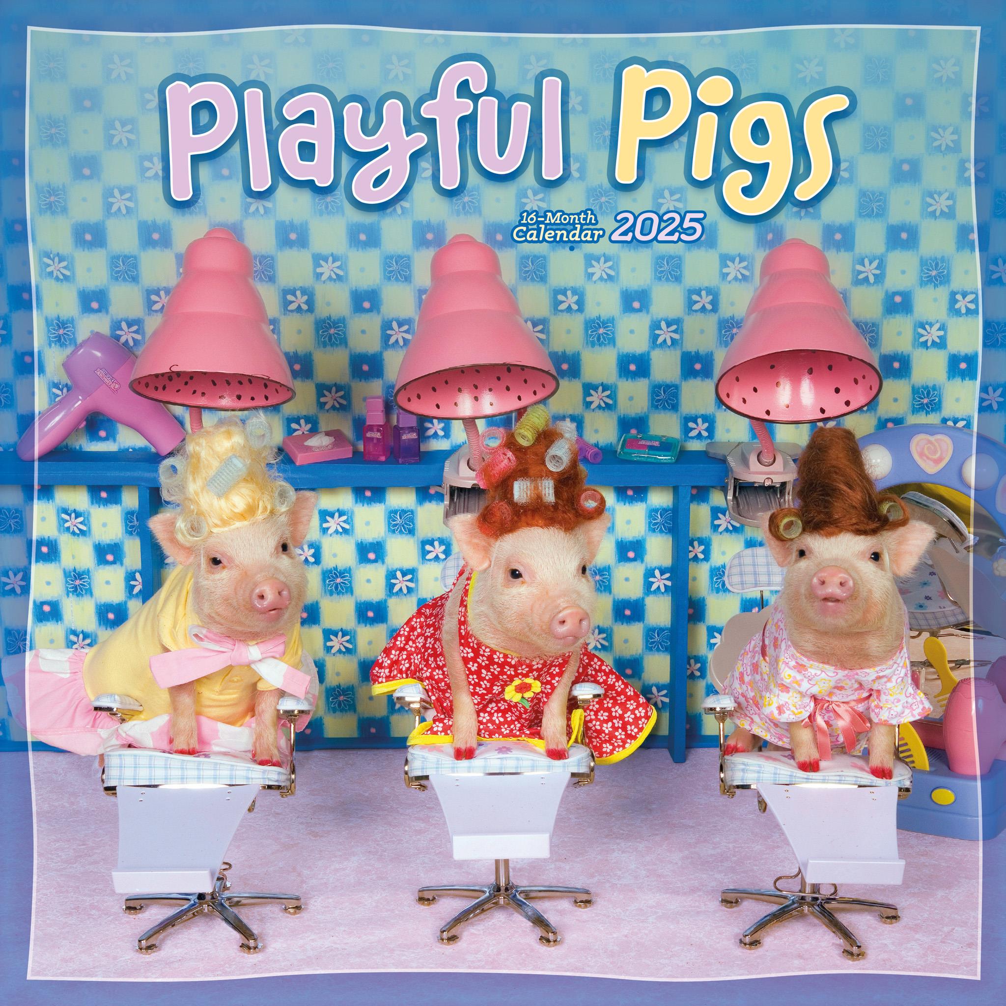 Pigs Playfu Wall 2025 Calendar