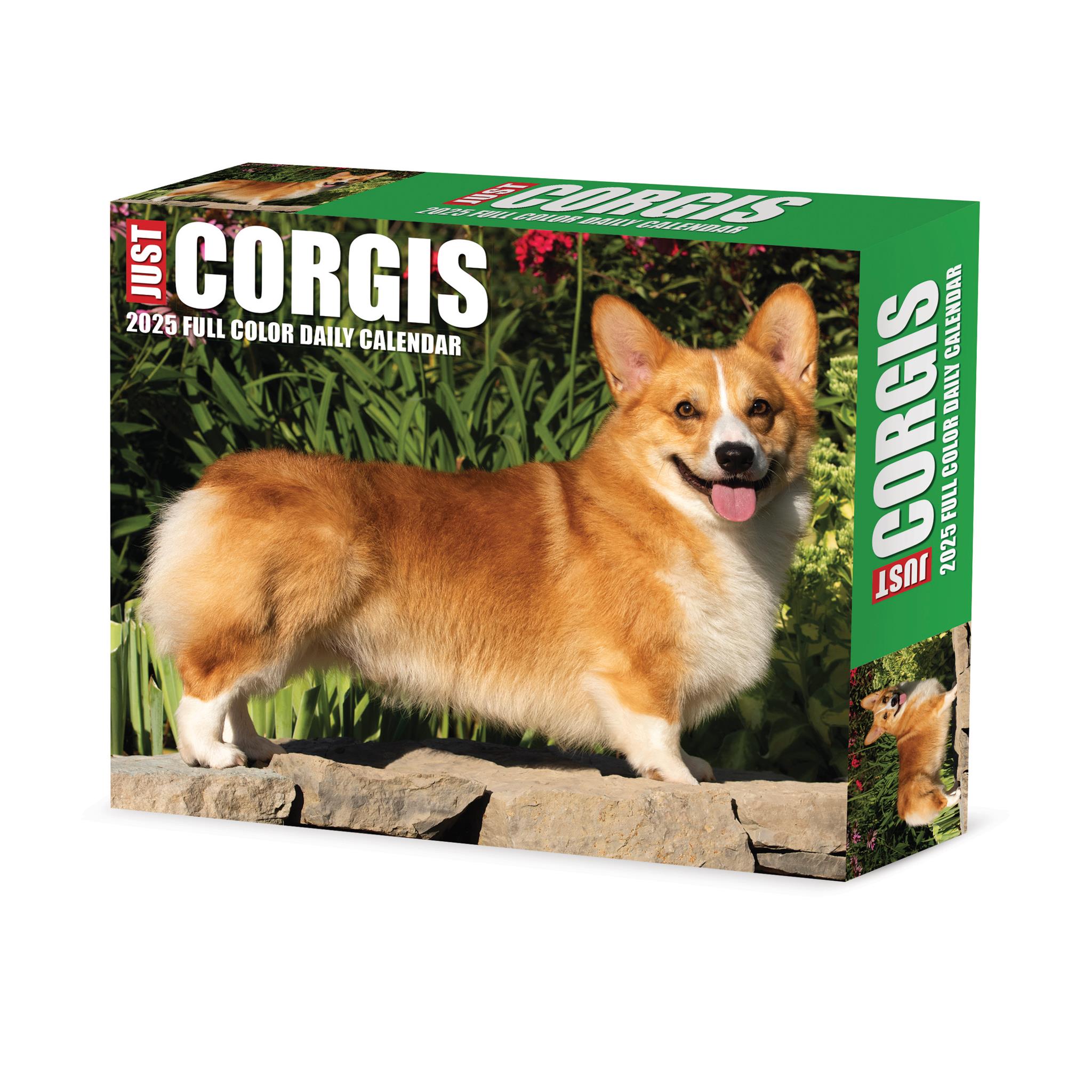 Just Corgis Box 2025 Calendar - Online Exclusive