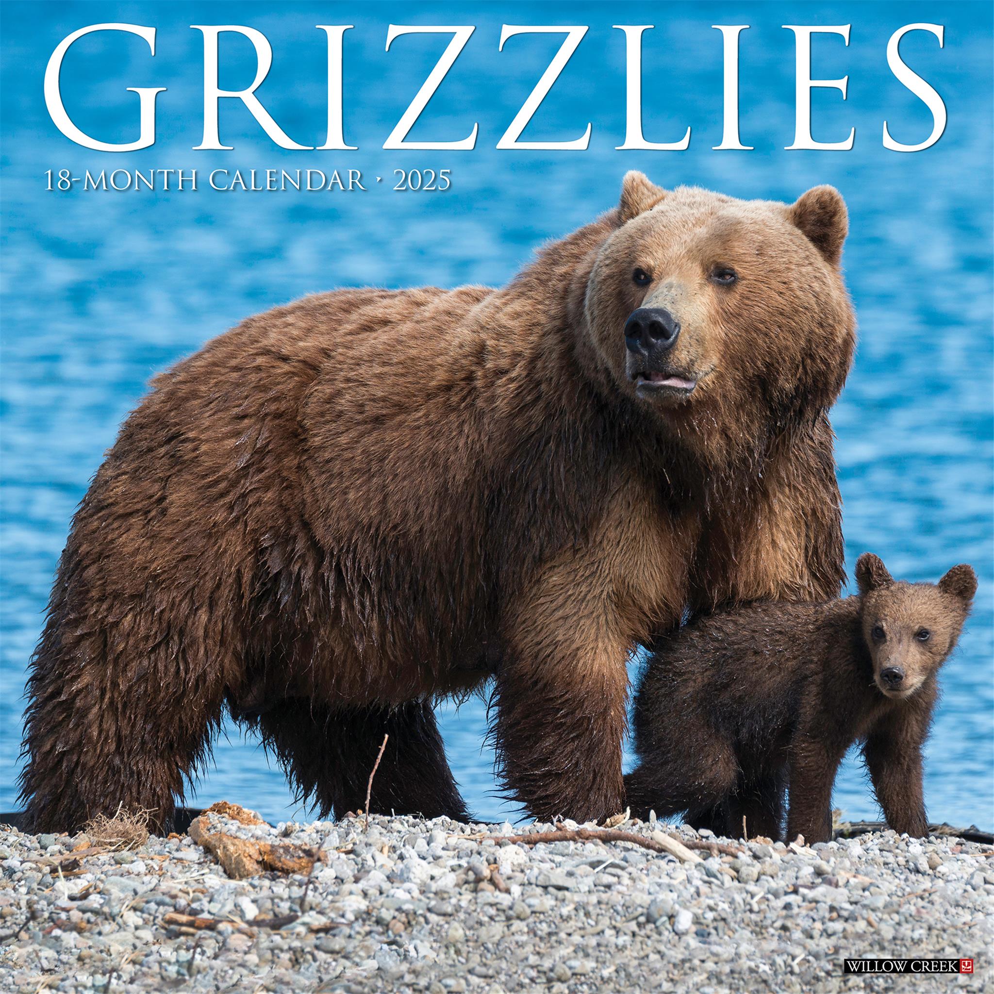 Grizzlies Wall 2025 Calendar