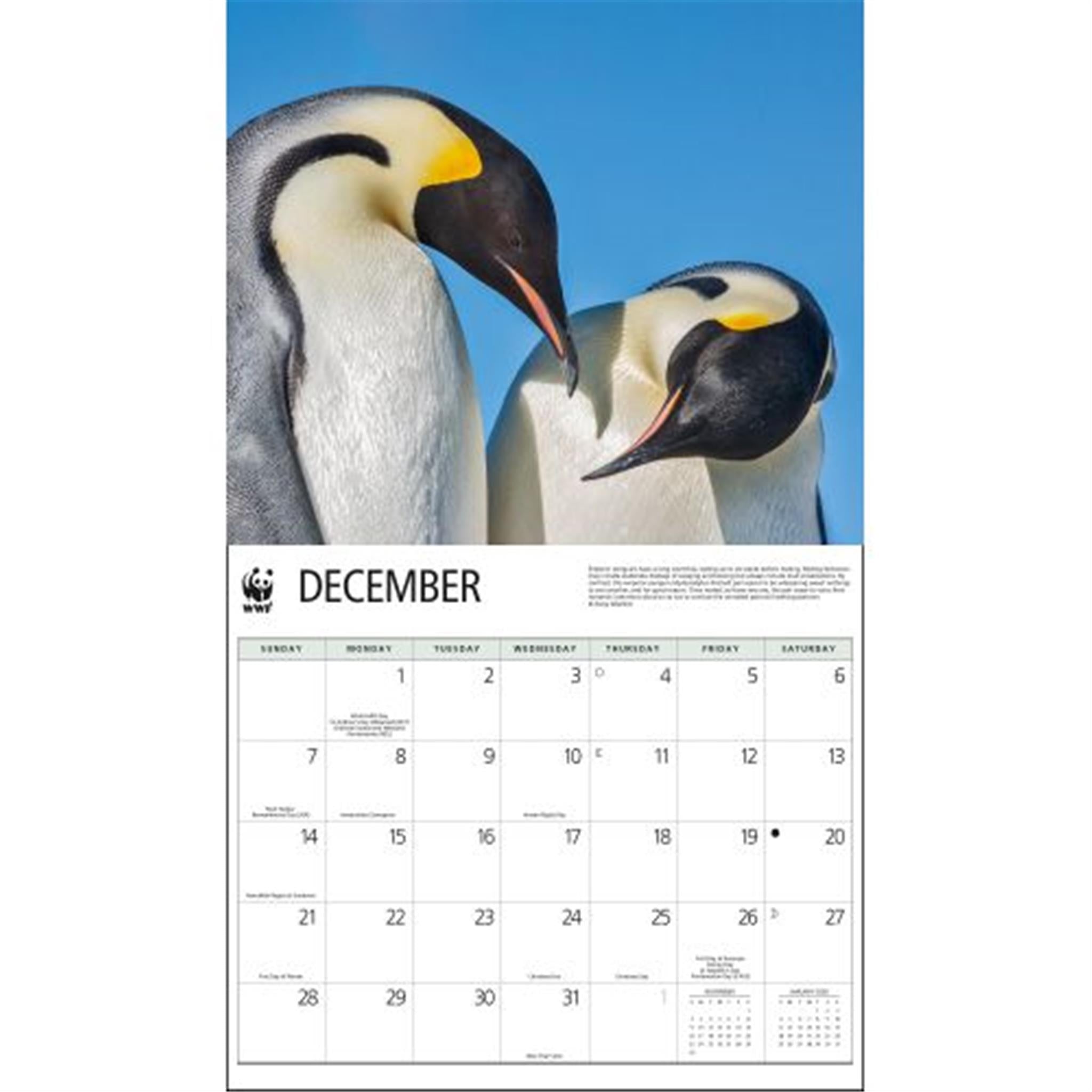 Penguins World Wildlife Fund Wall 2025 Calendar